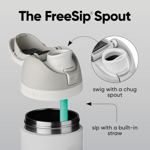 Owala FreeSip Insulated Stainless Steel Water Bottle with Straw
