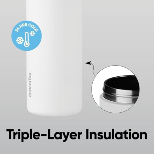 Owala FreeSip Insulated Stainless Steel Water Bottle with Straw
