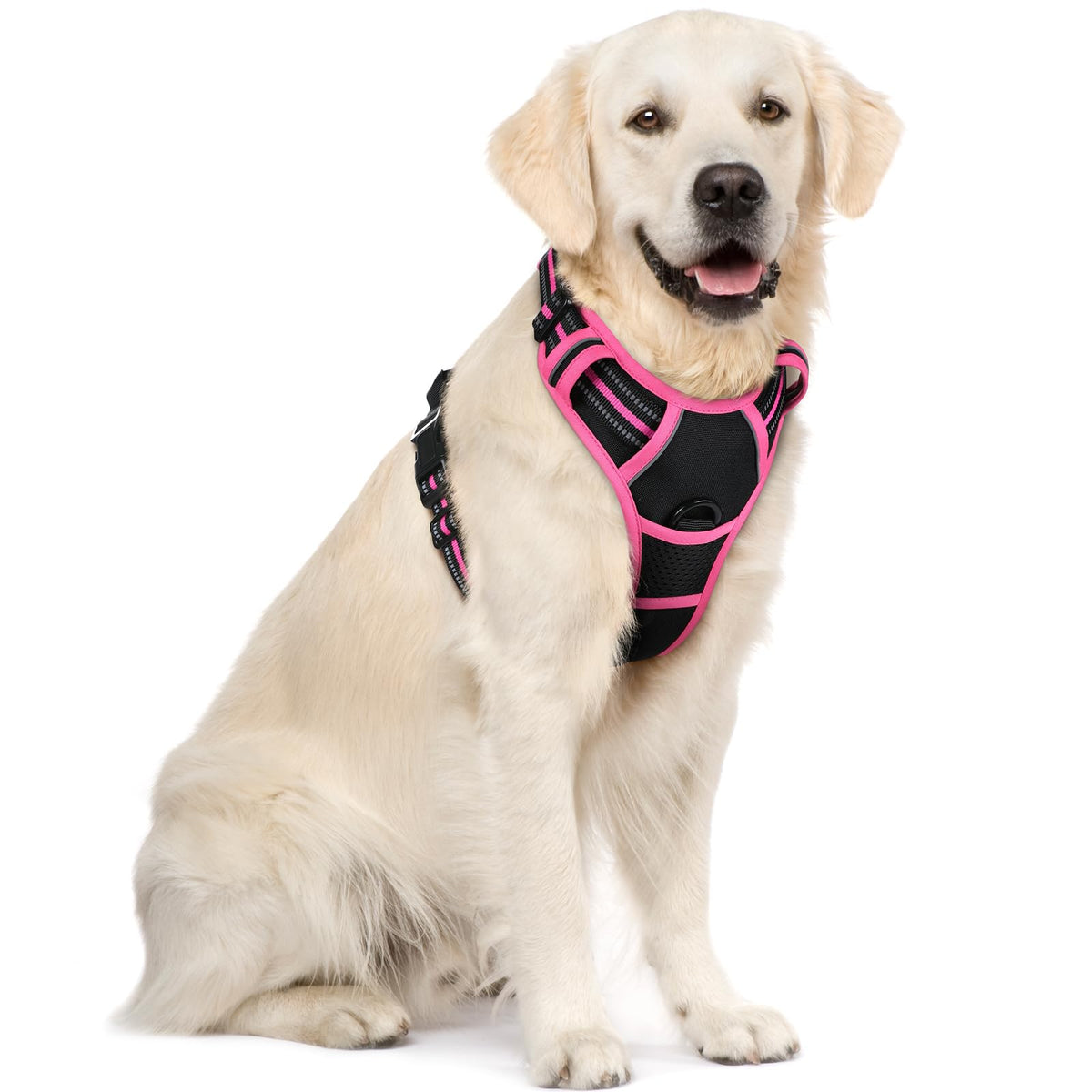 rabbitgoo Dog Harness No Pull with 2 Leash Clips, Adjustable Soft Padded, Reflective Oxford No Choke Pet Vest with Easy Control Handle for Large Dogs