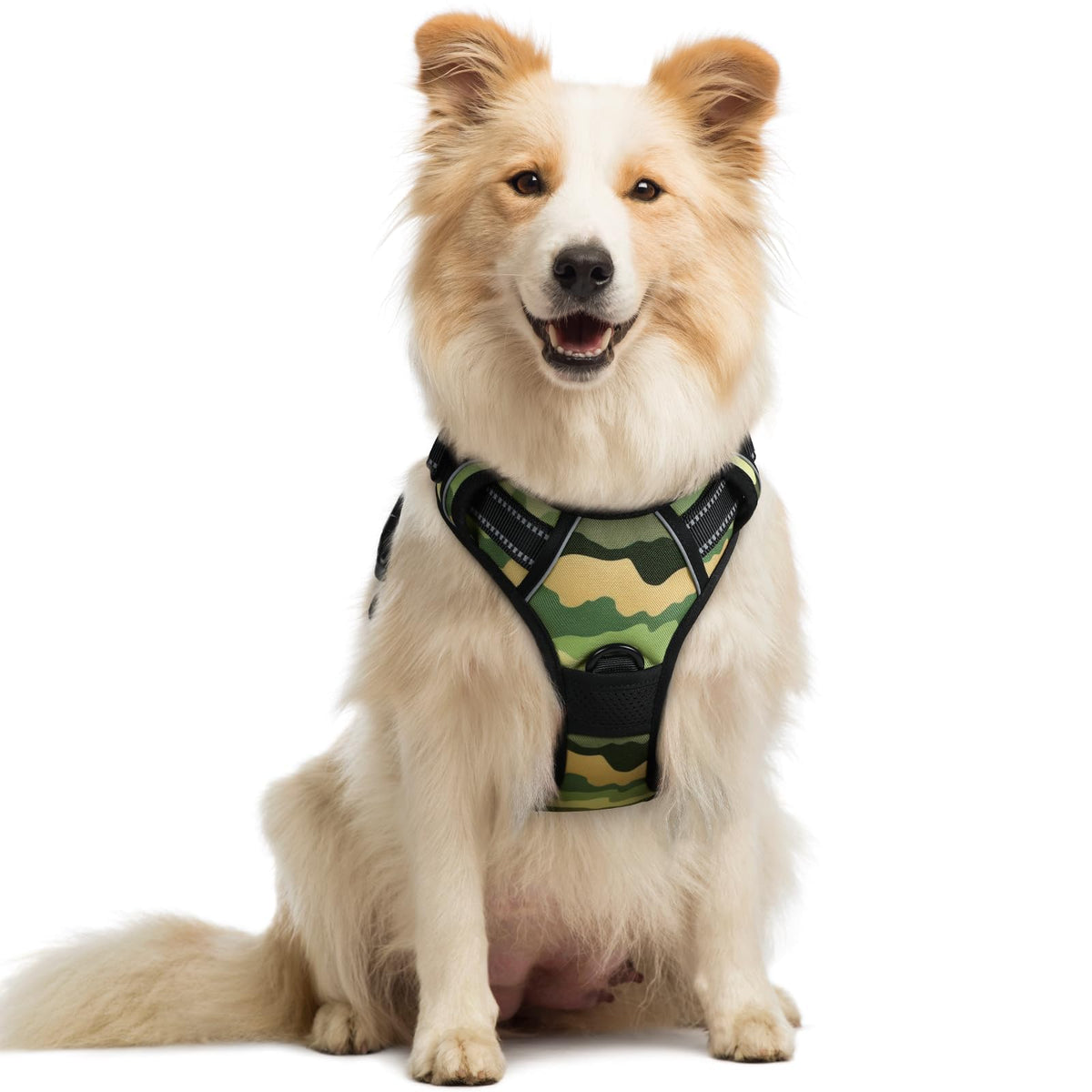 rabbitgoo Dog Harness No Pull with 2 Leash Clips, Adjustable Soft Padded, Reflective Oxford No Choke Pet Vest with Easy Control Handle for Large Dogs