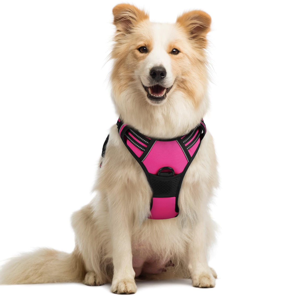 rabbitgoo Dog Harness No Pull with 2 Leash Clips, Adjustable Soft Padded, Reflective Oxford No Choke Pet Vest with Easy Control Handle for Large Dogs