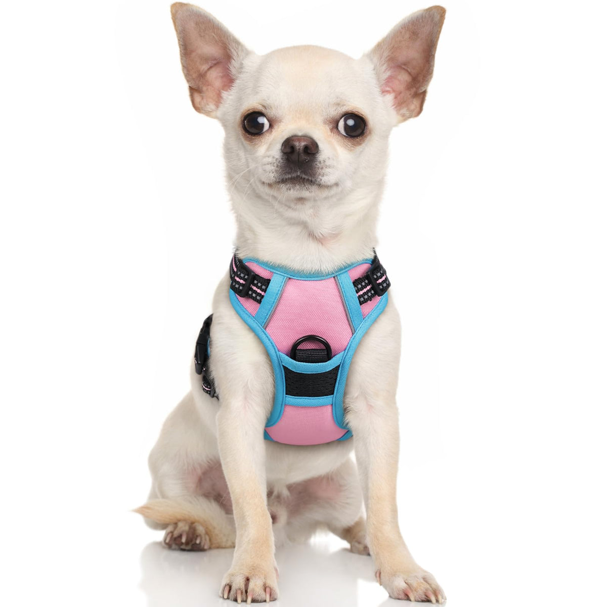 rabbitgoo Dog Harness No Pull with 2 Leash Clips, Adjustable Soft Padded, Reflective Oxford No Choke Pet Vest with Easy Control Handle for Large Dogs