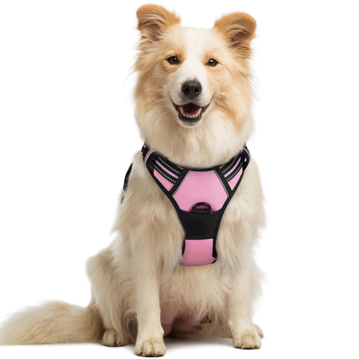 rabbitgoo Dog Harness No Pull with 2 Leash Clips, Adjustable Soft Padded, Reflective Oxford No Choke Pet Vest with Easy Control Handle for Large Dogs