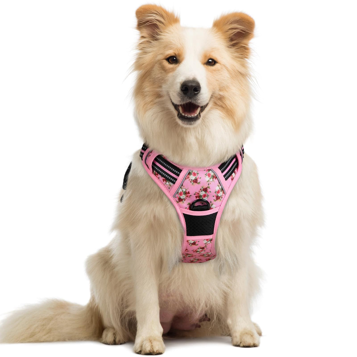 rabbitgoo Dog Harness No Pull with 2 Leash Clips, Adjustable Soft Padded, Reflective Oxford No Choke Pet Vest with Easy Control Handle for Large Dogs