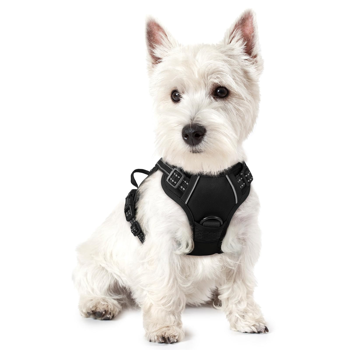 rabbitgoo Dog Harness No Pull with 2 Leash Clips, Adjustable Soft Padded, Reflective Oxford No Choke Pet Vest with Easy Control Handle for Large Dogs