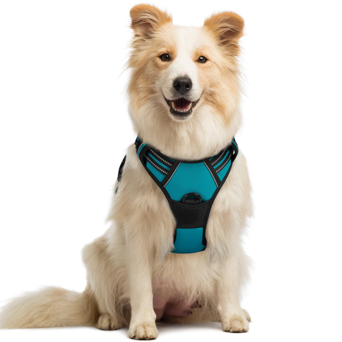rabbitgoo Dog Harness No Pull with 2 Leash Clips, Adjustable Soft Padded, Reflective Oxford No Choke Pet Vest with Easy Control Handle for Large Dogs
