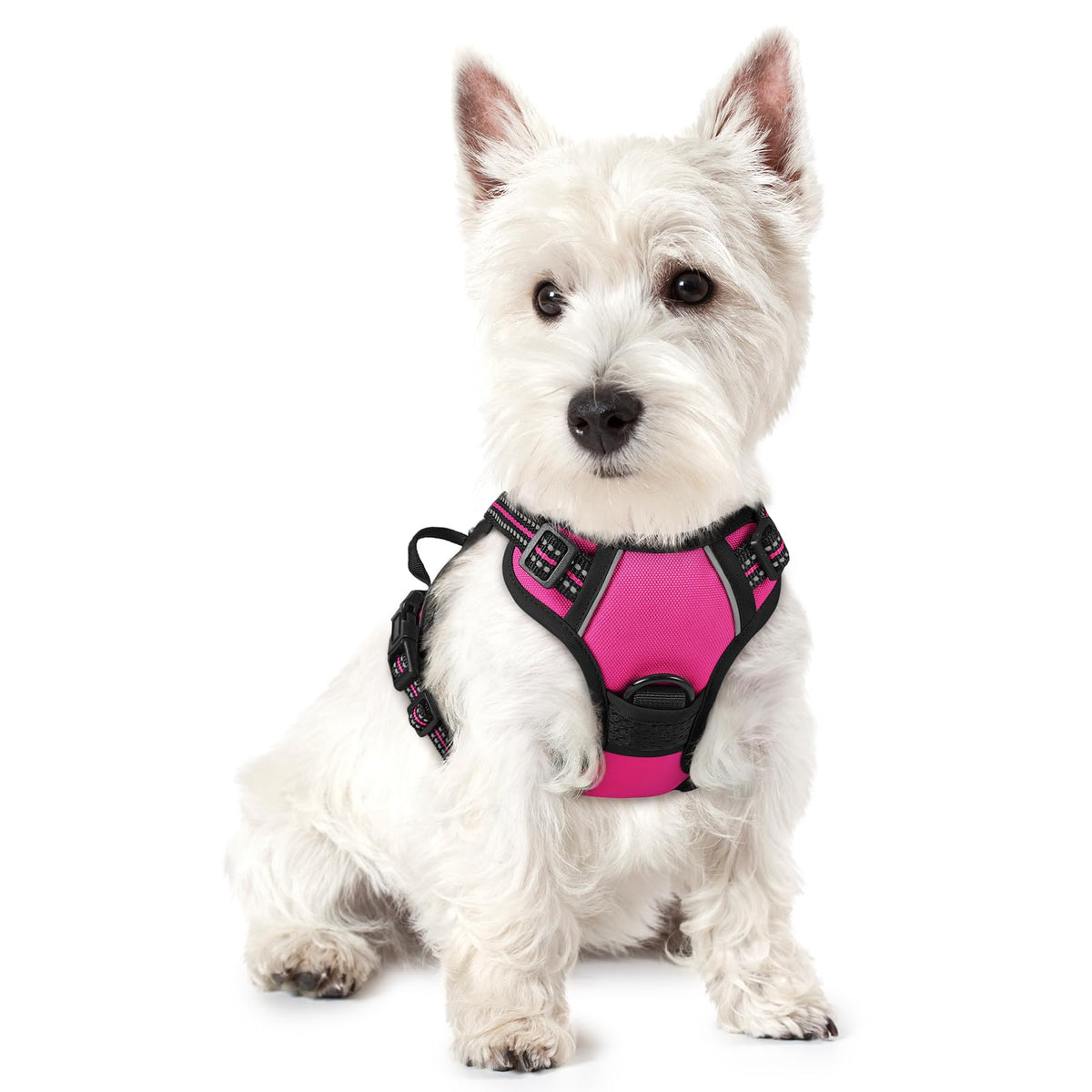 rabbitgoo Dog Harness No Pull with 2 Leash Clips, Adjustable Soft Padded, Reflective Oxford No Choke Pet Vest with Easy Control Handle for Large Dogs