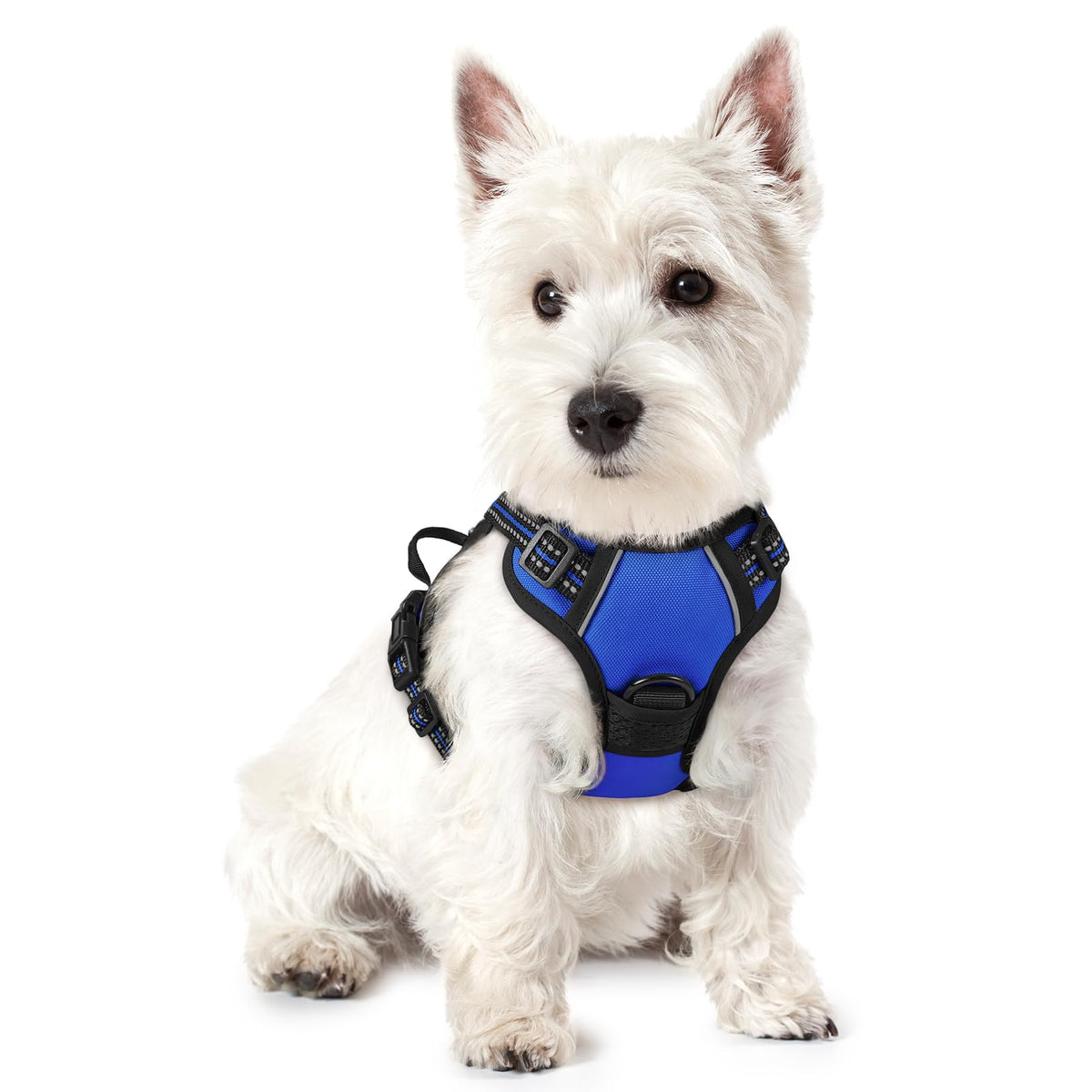 rabbitgoo Dog Harness No Pull with 2 Leash Clips, Adjustable Soft Padded, Reflective Oxford No Choke Pet Vest with Easy Control Handle for Large Dogs