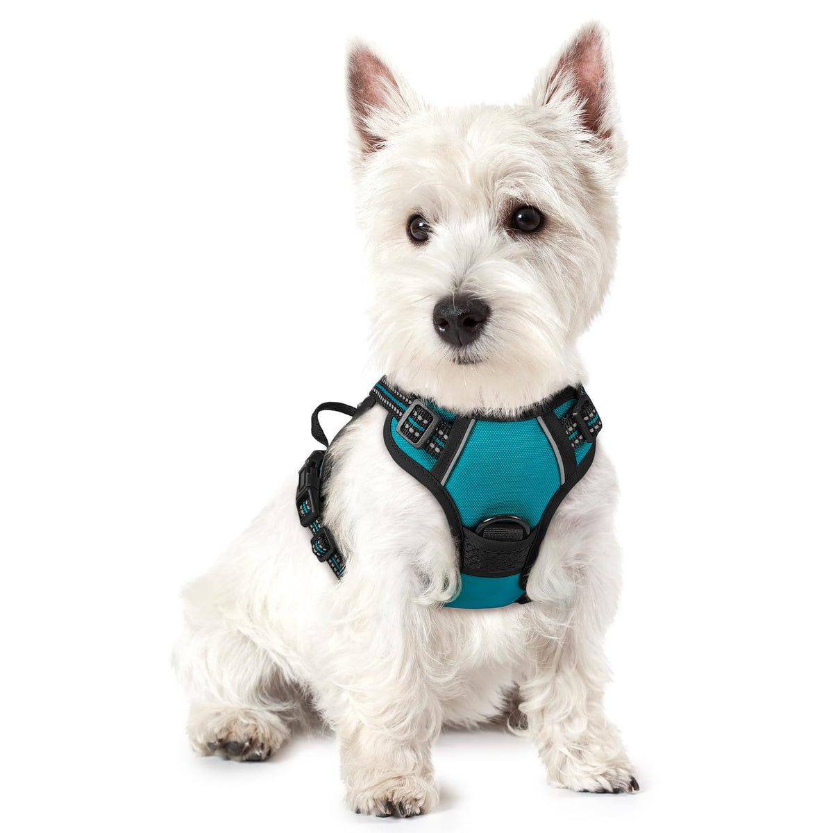 rabbitgoo Dog Harness No Pull with 2 Leash Clips, Adjustable Soft Padded, Reflective Oxford No Choke Pet Vest with Easy Control Handle for Large Dogs