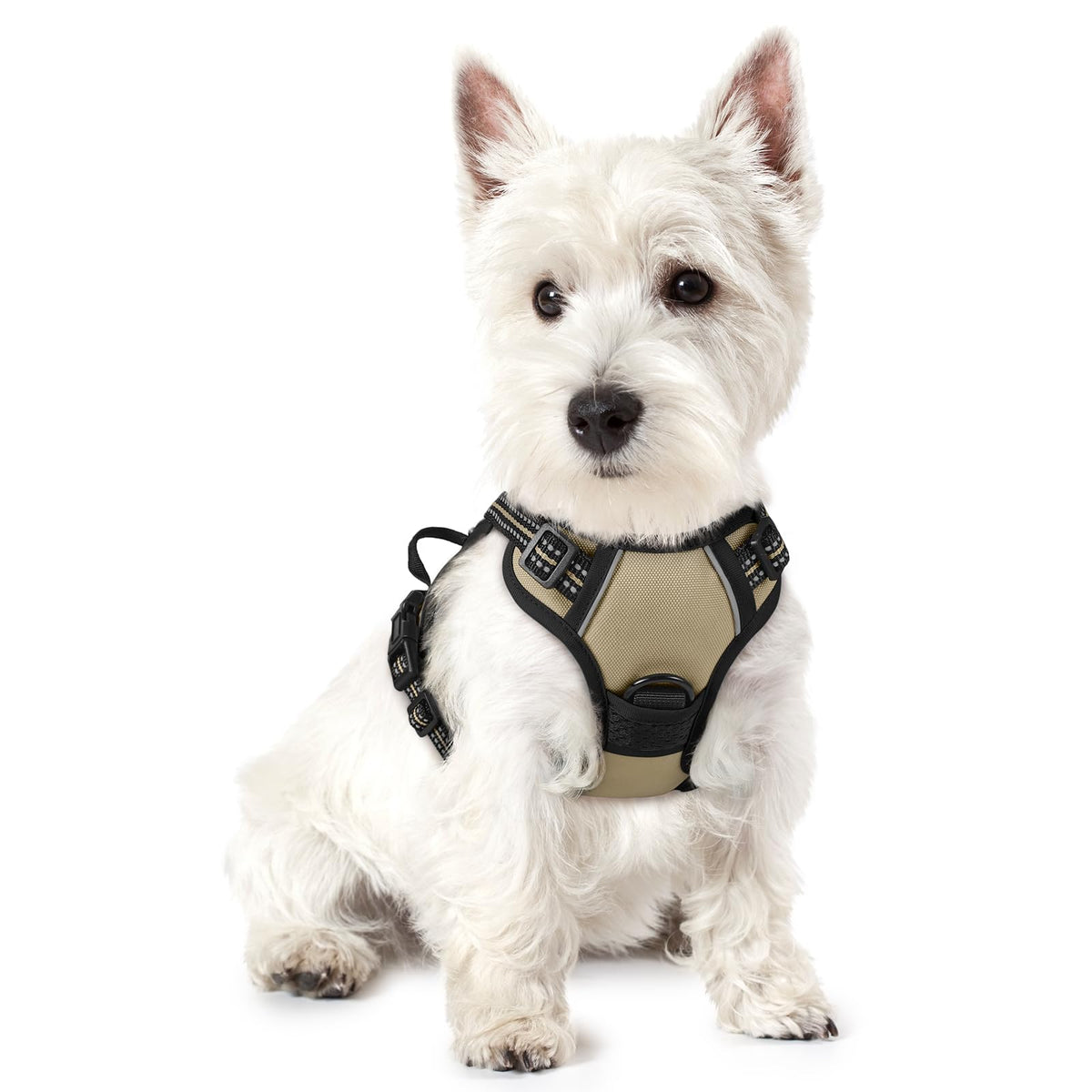 rabbitgoo Dog Harness No Pull with 2 Leash Clips, Adjustable Soft Padded, Reflective Oxford No Choke Pet Vest with Easy Control Handle for Large Dogs