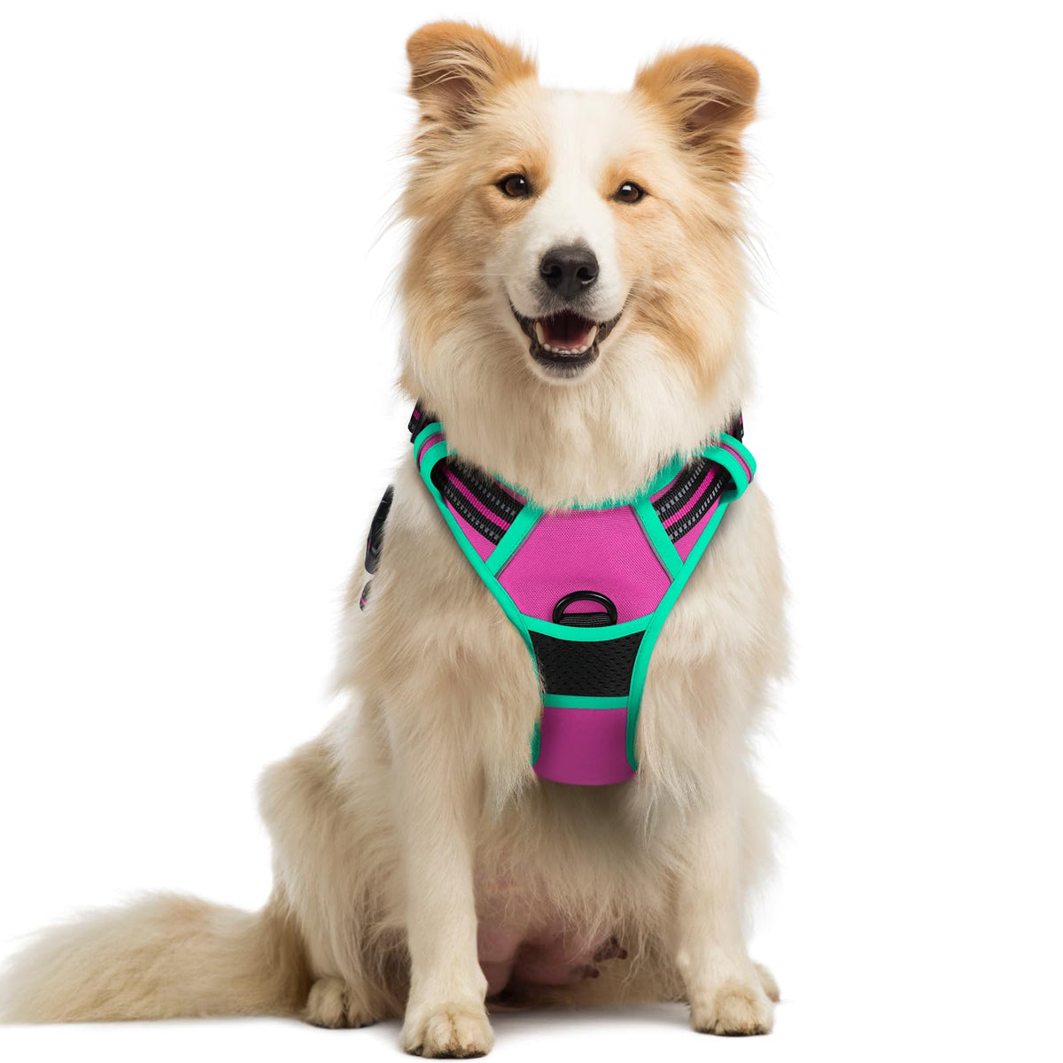 rabbitgoo Dog Harness No Pull with 2 Leash Clips, Adjustable Soft Padded, Reflective Oxford No Choke Pet Vest with Easy Control Handle for Large Dogs