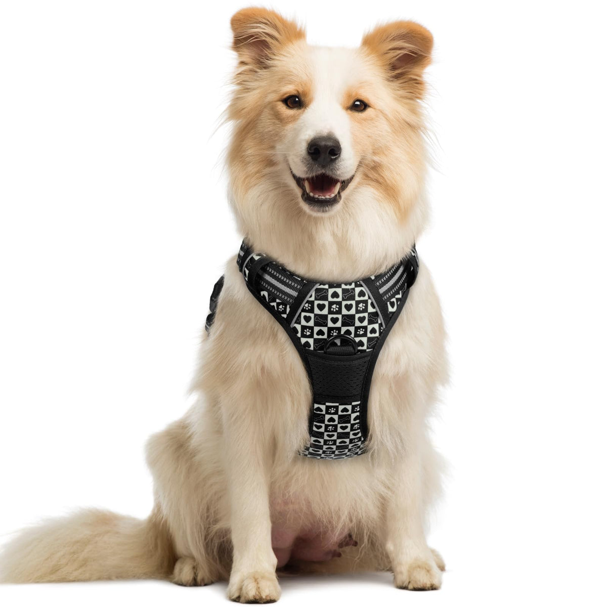 rabbitgoo Dog Harness No Pull with 2 Leash Clips, Adjustable Soft Padded, Reflective Oxford No Choke Pet Vest with Easy Control Handle for Large Dogs