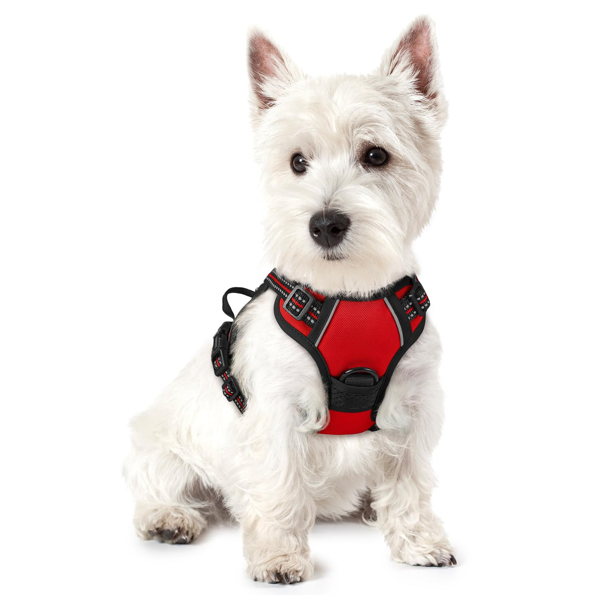rabbitgoo Dog Harness No Pull with 2 Leash Clips, Adjustable Soft Padded, Reflective Oxford No Choke Pet Vest with Easy Control Handle for Large Dogs