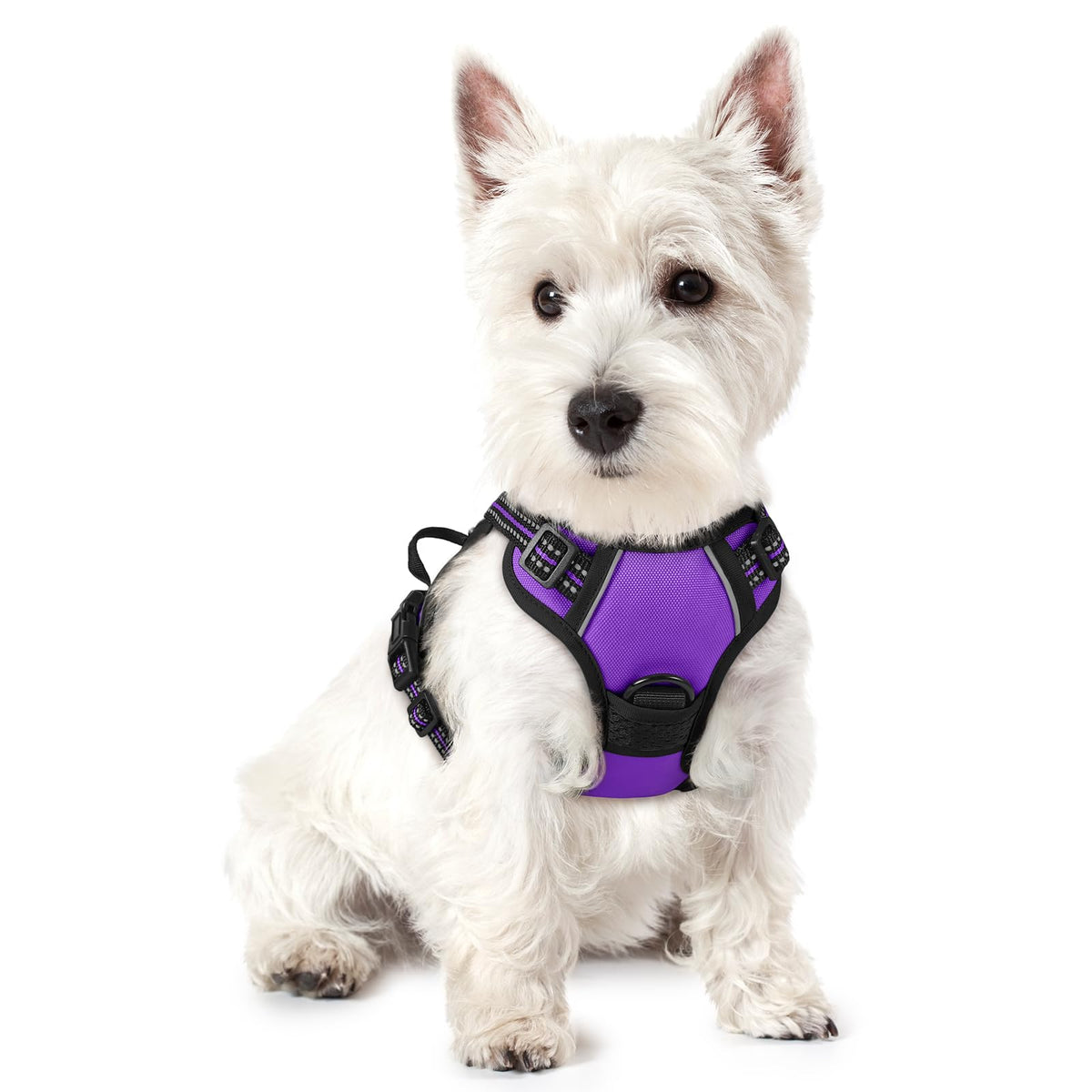 rabbitgoo Dog Harness No Pull with 2 Leash Clips, Adjustable Soft Padded, Reflective Oxford No Choke Pet Vest with Easy Control Handle for Large Dogs