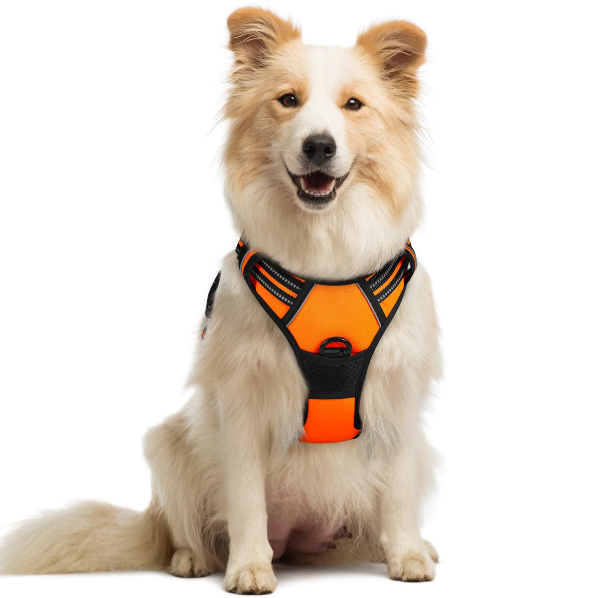 rabbitgoo Dog Harness No Pull with 2 Leash Clips, Adjustable Soft Padded, Reflective Oxford No Choke Pet Vest with Easy Control Handle for Large Dogs
