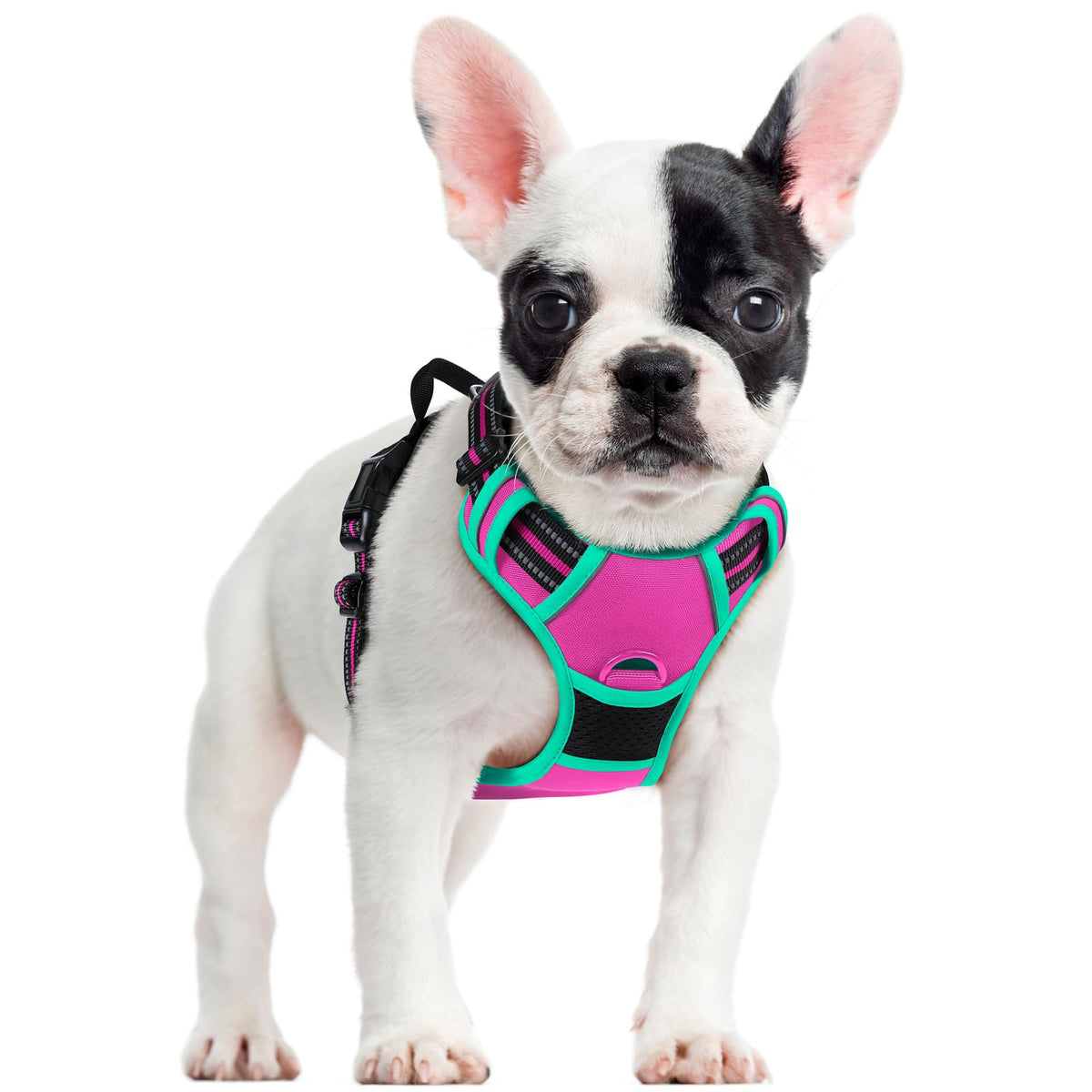 rabbitgoo Dog Harness No Pull with 2 Leash Clips, Adjustable Soft Padded, Reflective Oxford No Choke Pet Vest with Easy Control Handle for Large Dogs