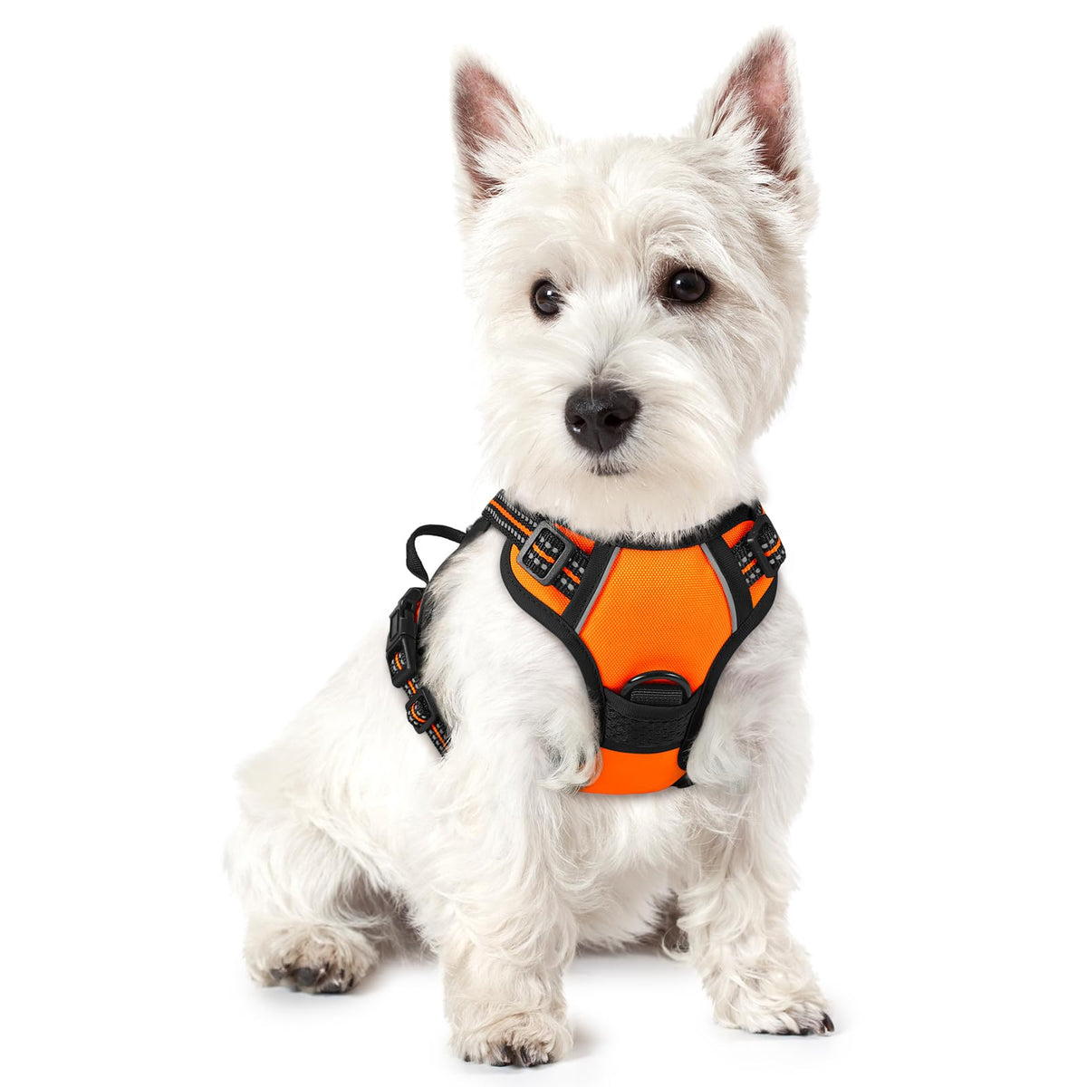 rabbitgoo Dog Harness No Pull with 2 Leash Clips, Adjustable Soft Padded, Reflective Oxford No Choke Pet Vest with Easy Control Handle for Large Dogs