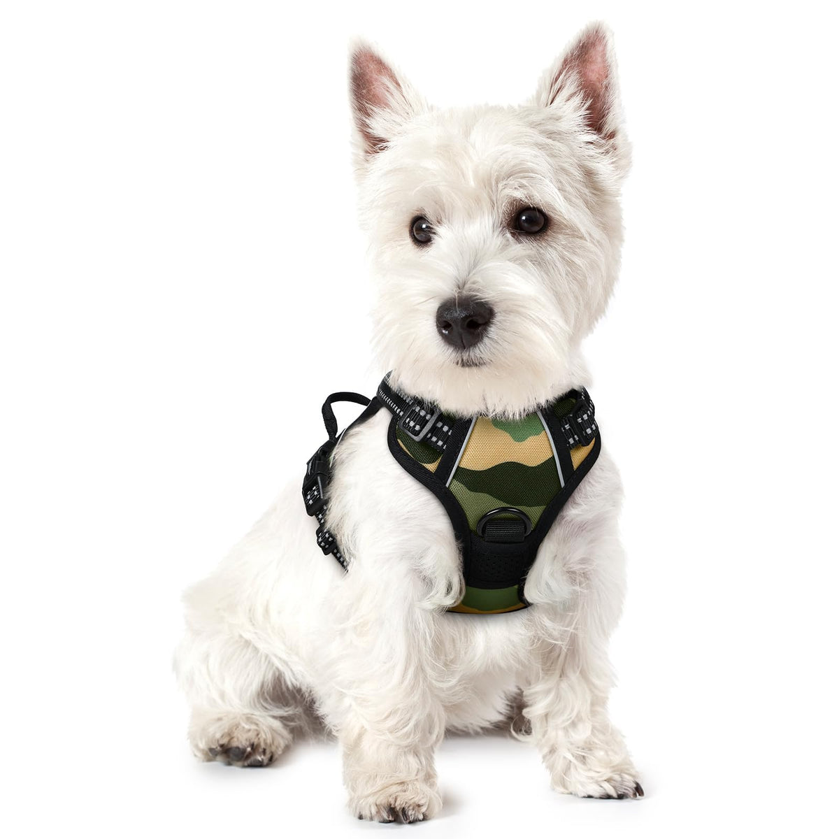 rabbitgoo Dog Harness No Pull with 2 Leash Clips, Adjustable Soft Padded, Reflective Oxford No Choke Pet Vest with Easy Control Handle for Large Dogs
