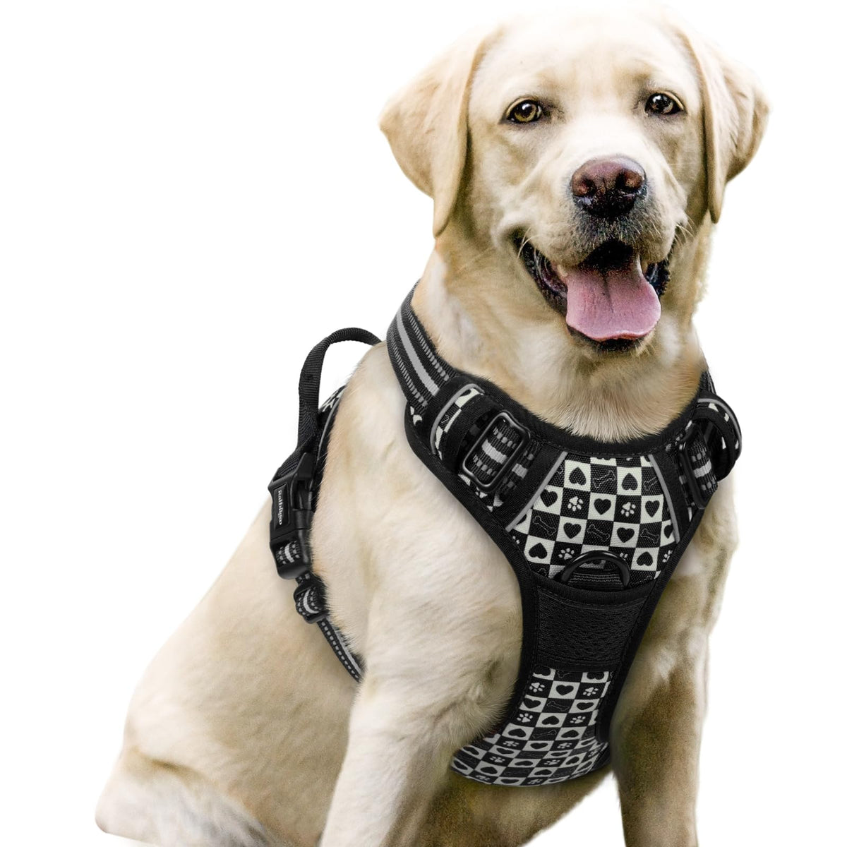 rabbitgoo Dog Harness No Pull with 2 Leash Clips, Adjustable Soft Padded, Reflective Oxford No Choke Pet Vest with Easy Control Handle for Large Dogs
