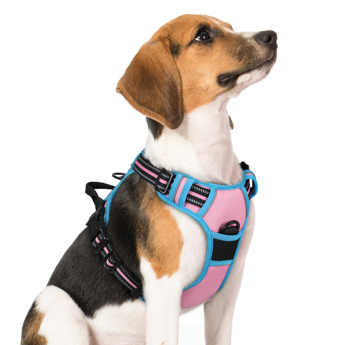 rabbitgoo Dog Harness No Pull with 2 Leash Clips, Adjustable Soft Padded, Reflective Oxford No Choke Pet Vest with Easy Control Handle for Large Dogs
