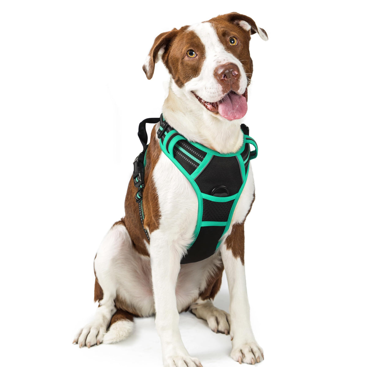 rabbitgoo Dog Harness No Pull with 2 Leash Clips, Adjustable Soft Padded, Reflective Oxford No Choke Pet Vest with Easy Control Handle for Large Dogs