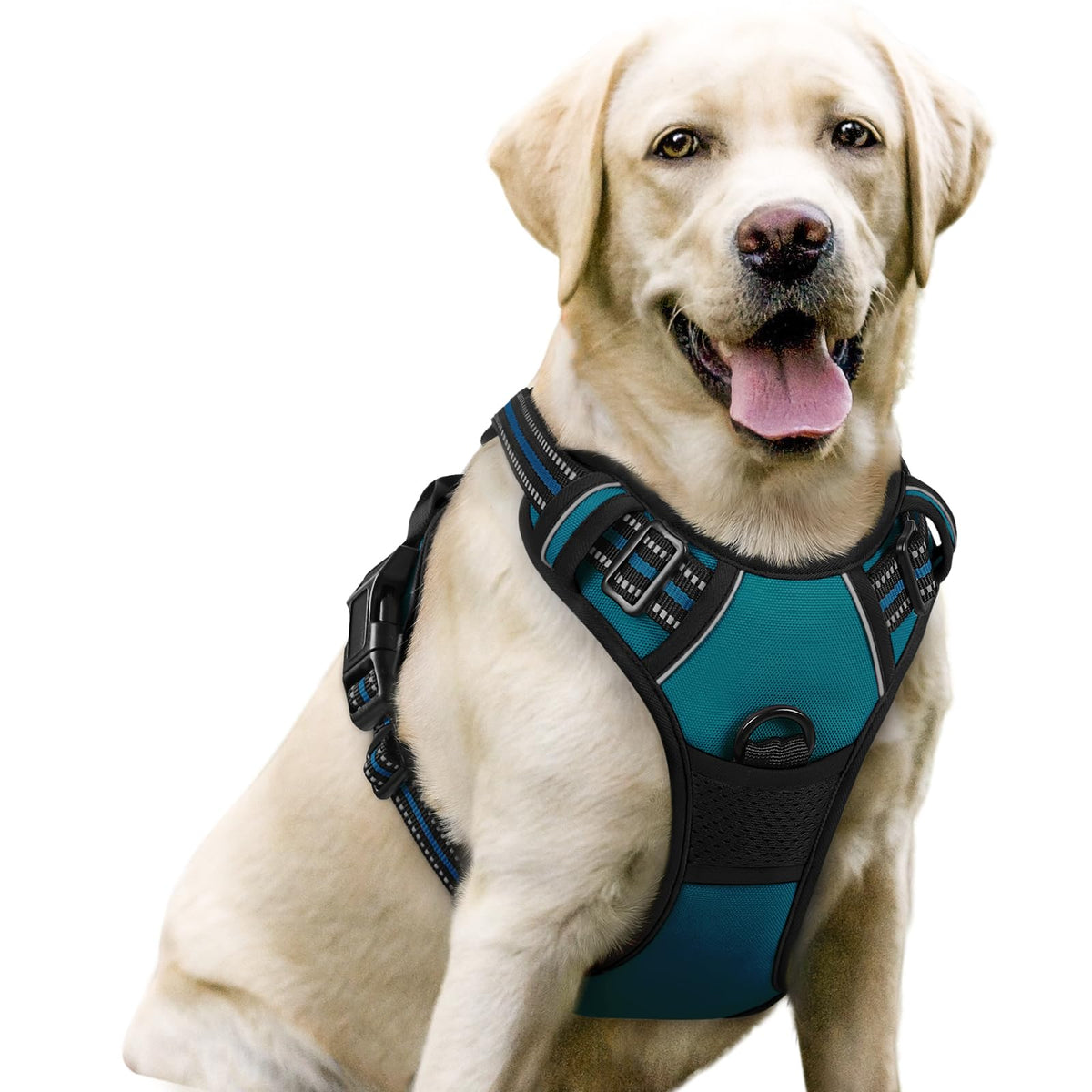 rabbitgoo Dog Harness No Pull with 2 Leash Clips, Adjustable Soft Padded, Reflective Oxford No Choke Pet Vest with Easy Control Handle for Large Dogs
