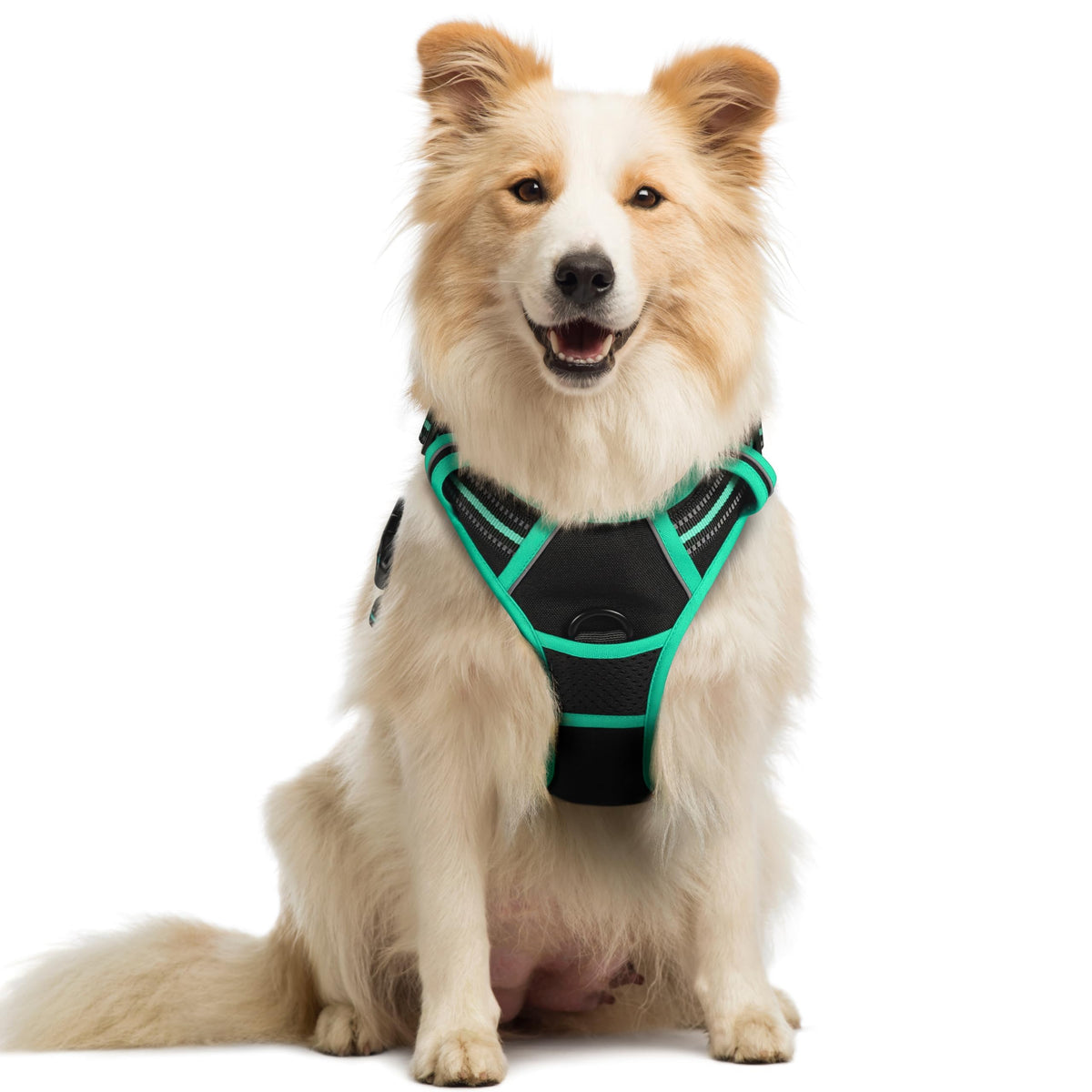 rabbitgoo Dog Harness No Pull with 2 Leash Clips, Adjustable Soft Padded, Reflective Oxford No Choke Pet Vest with Easy Control Handle for Large Dogs