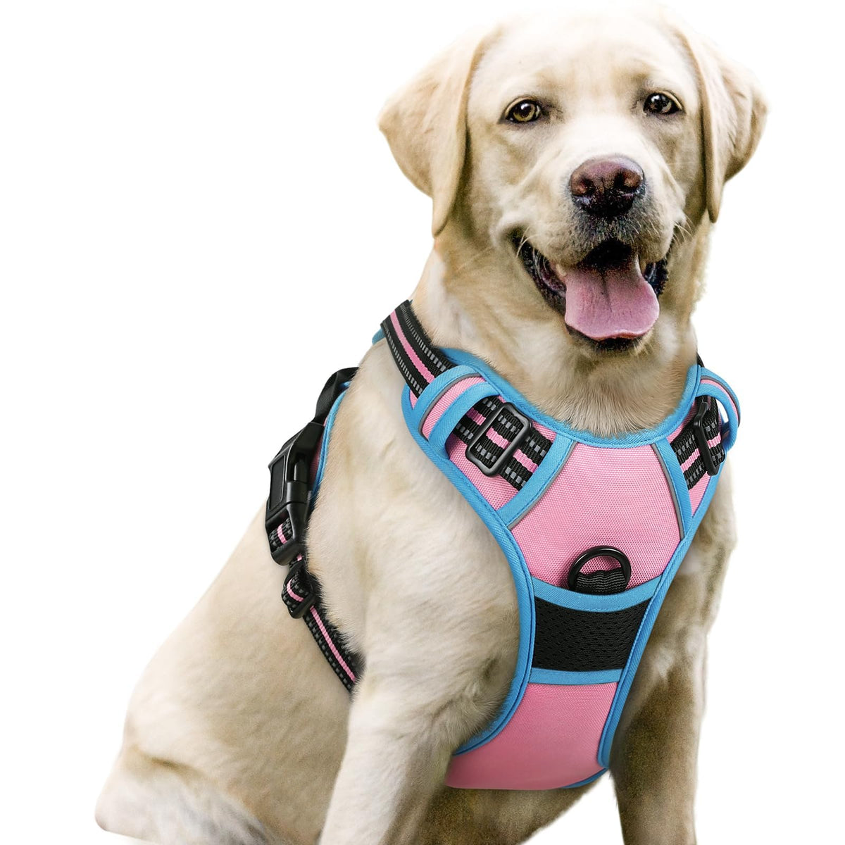 rabbitgoo Dog Harness No Pull with 2 Leash Clips, Adjustable Soft Padded, Reflective Oxford No Choke Pet Vest with Easy Control Handle for Large Dogs