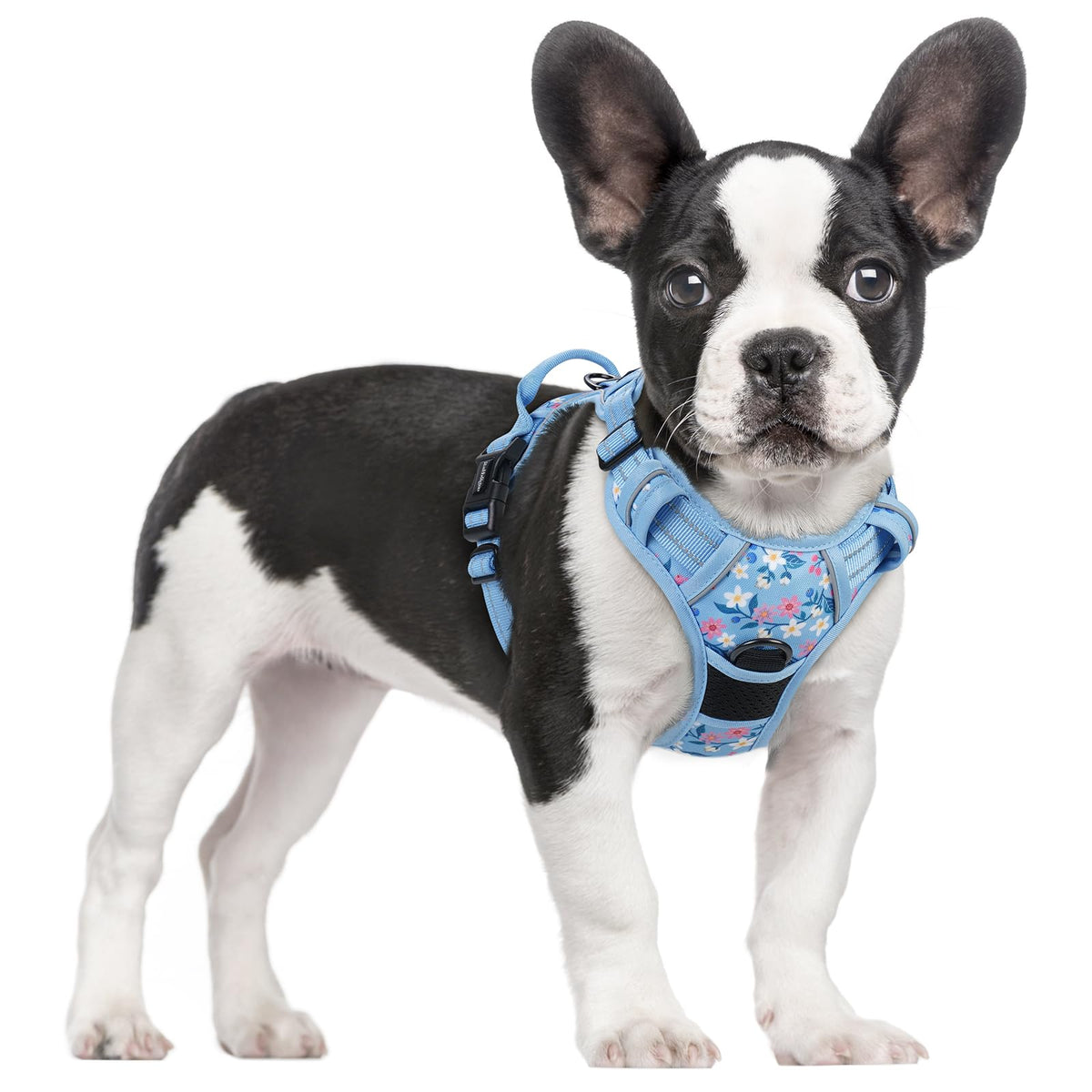 rabbitgoo Dog Harness No Pull with 2 Leash Clips, Adjustable Soft Padded, Reflective Oxford No Choke Pet Vest with Easy Control Handle for Large Dogs
