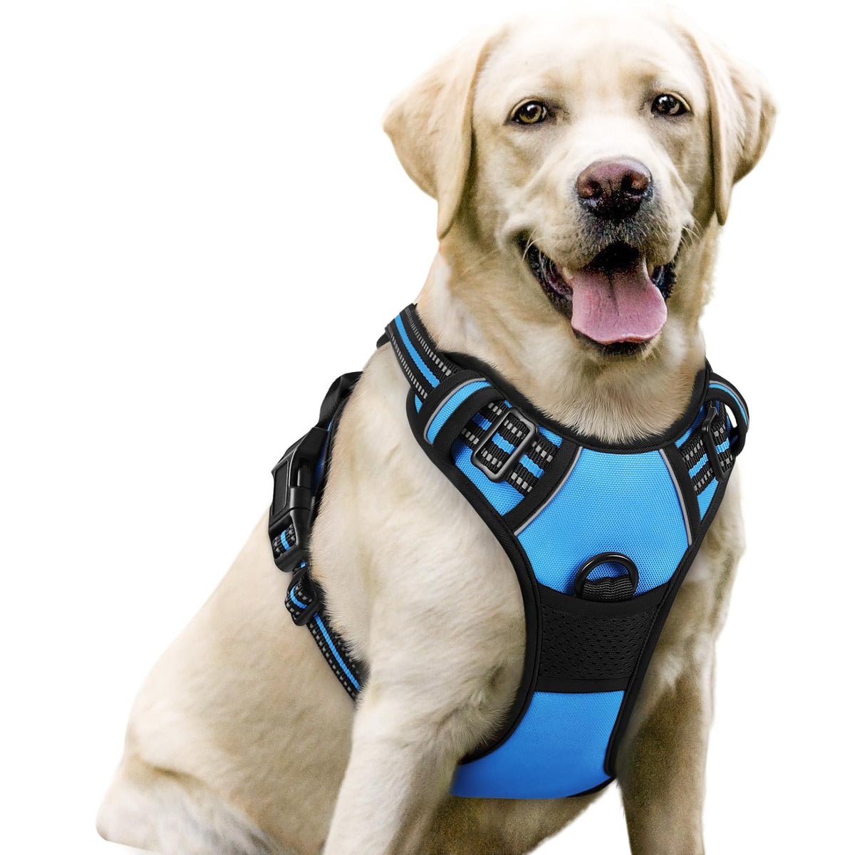 rabbitgoo Dog Harness No Pull with 2 Leash Clips, Adjustable Soft Padded, Reflective Oxford No Choke Pet Vest with Easy Control Handle for Large Dogs