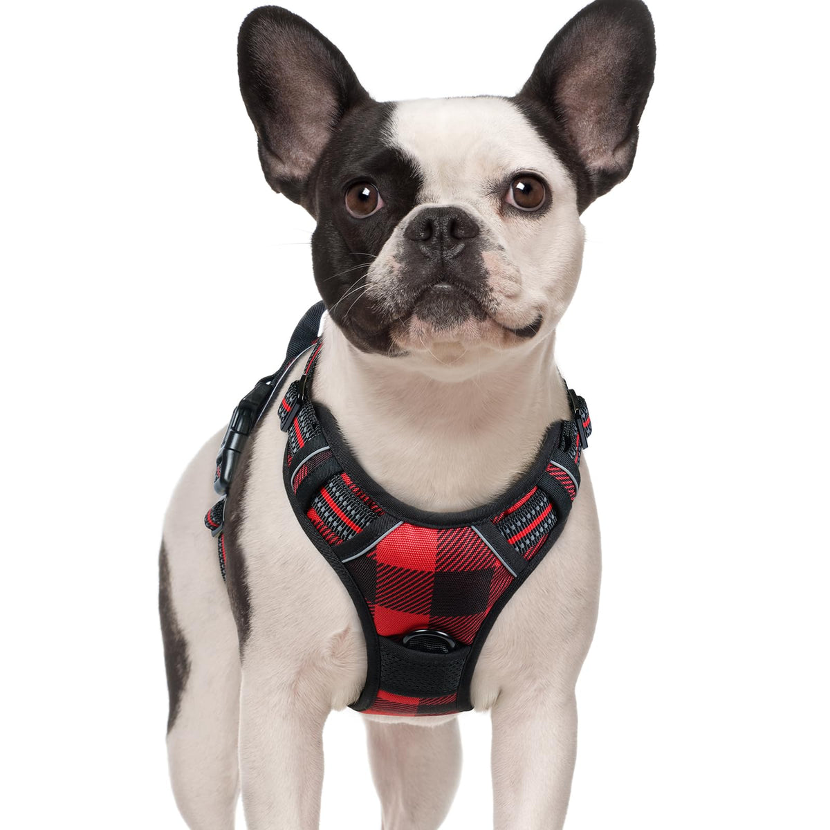 rabbitgoo Dog Harness No Pull with 2 Leash Clips, Adjustable Soft Padded, Reflective Oxford No Choke Pet Vest with Easy Control Handle for Large Dogs