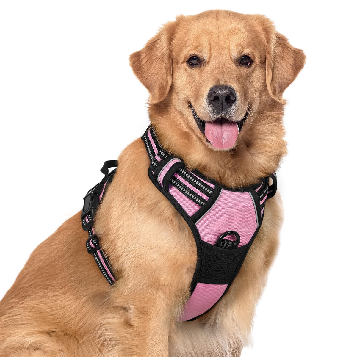 rabbitgoo Dog Harness No Pull with 2 Leash Clips, Adjustable Soft Padded, Reflective Oxford No Choke Pet Vest with Easy Control Handle for Large Dogs