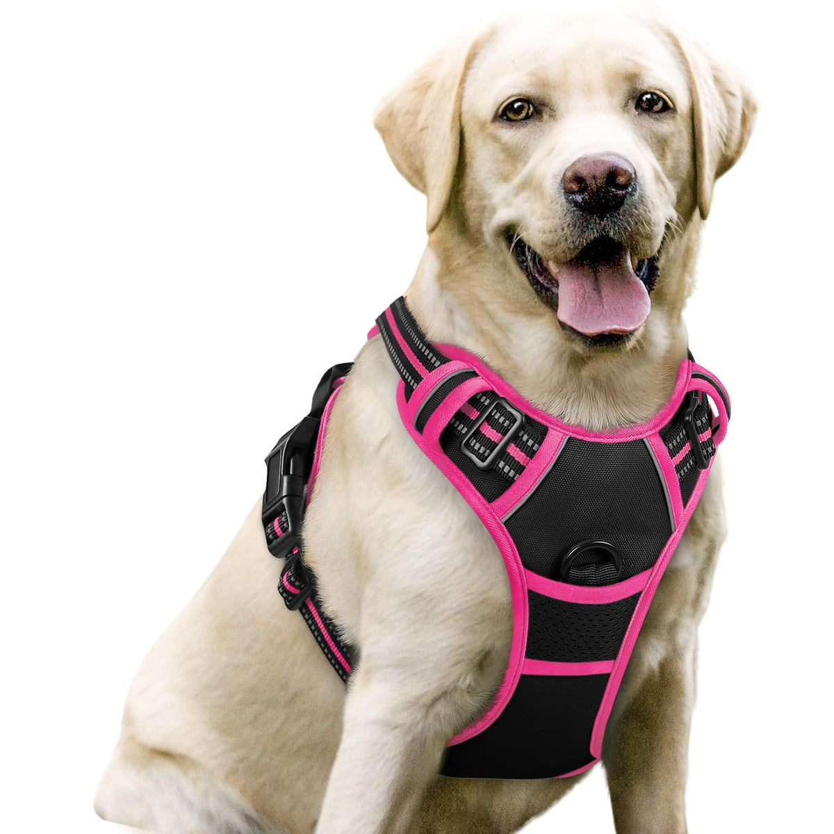 rabbitgoo Dog Harness No Pull with 2 Leash Clips, Adjustable Soft Padded, Reflective Oxford No Choke Pet Vest with Easy Control Handle for Large Dogs
