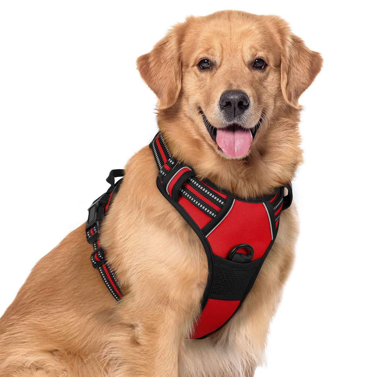 rabbitgoo Dog Harness No Pull with 2 Leash Clips, Adjustable Soft Padded, Reflective Oxford No Choke Pet Vest with Easy Control Handle for Large Dogs