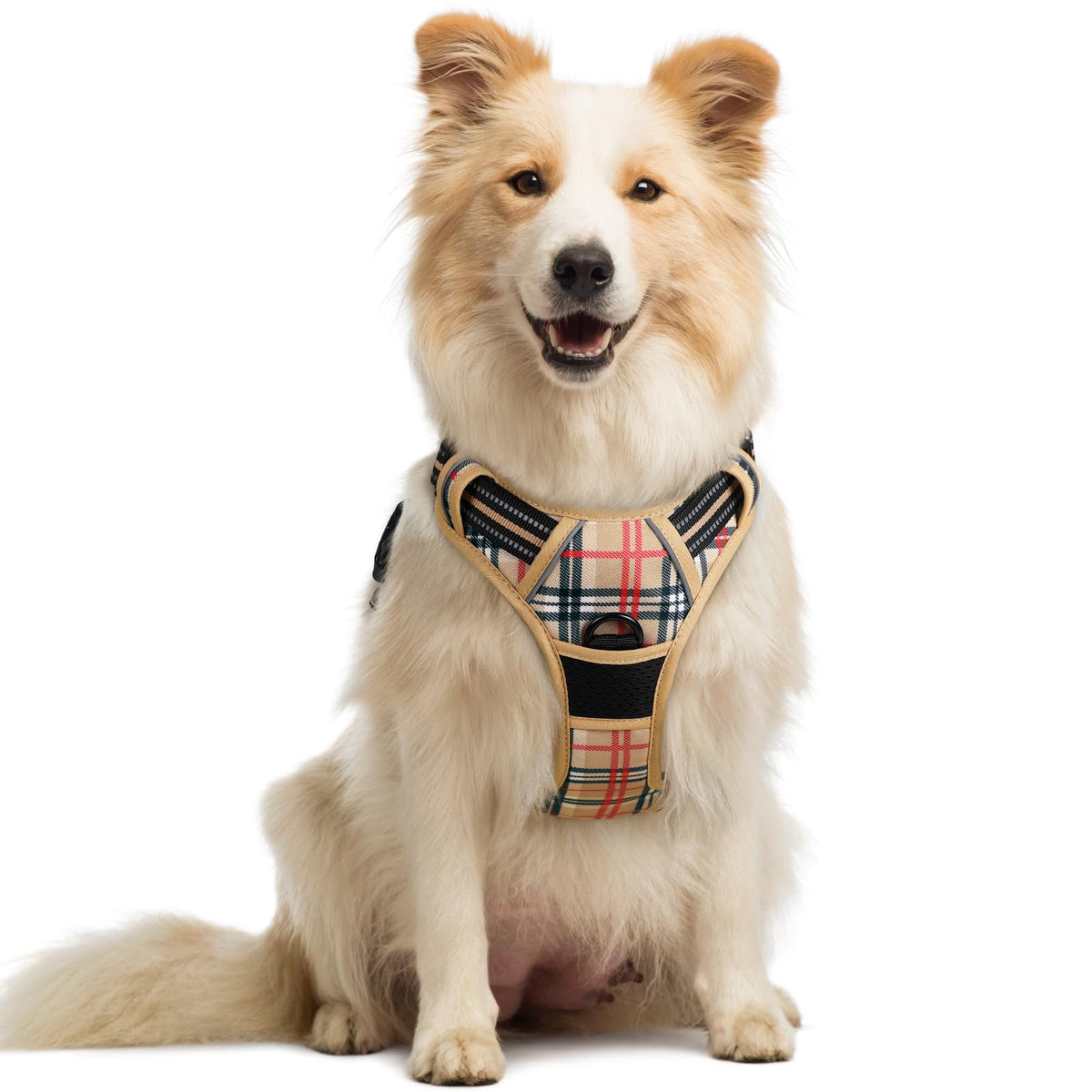 rabbitgoo Dog Harness No Pull with 2 Leash Clips, Adjustable Soft Padded, Reflective Oxford No Choke Pet Vest with Easy Control Handle for Large Dogs