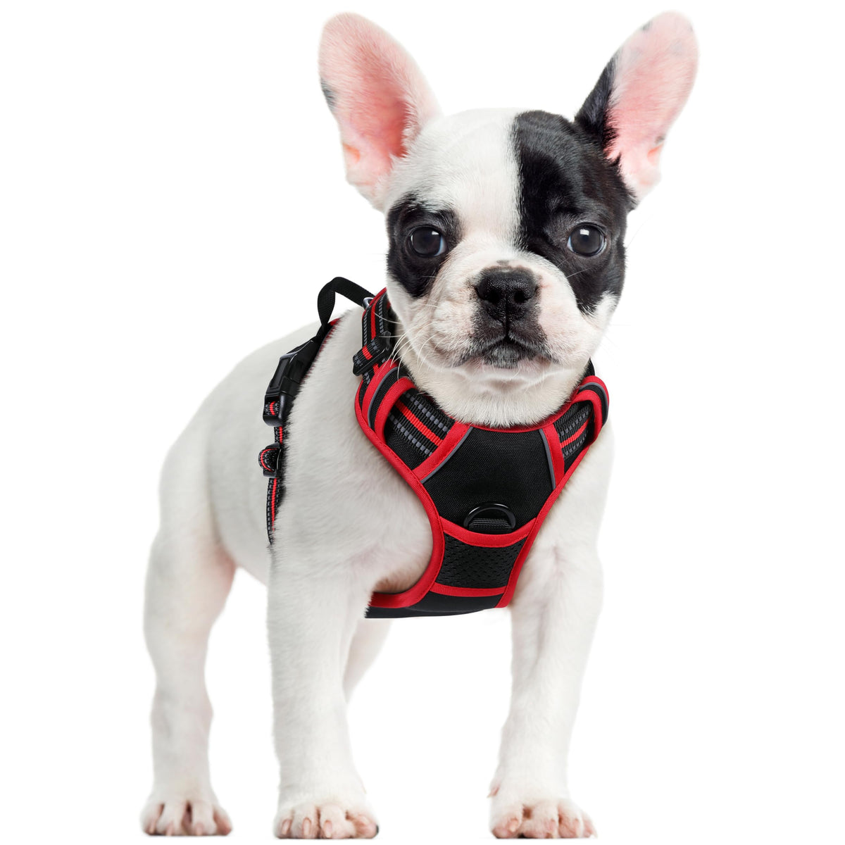 rabbitgoo Dog Harness No Pull with 2 Leash Clips, Adjustable Soft Padded, Reflective Oxford No Choke Pet Vest with Easy Control Handle for Large Dogs