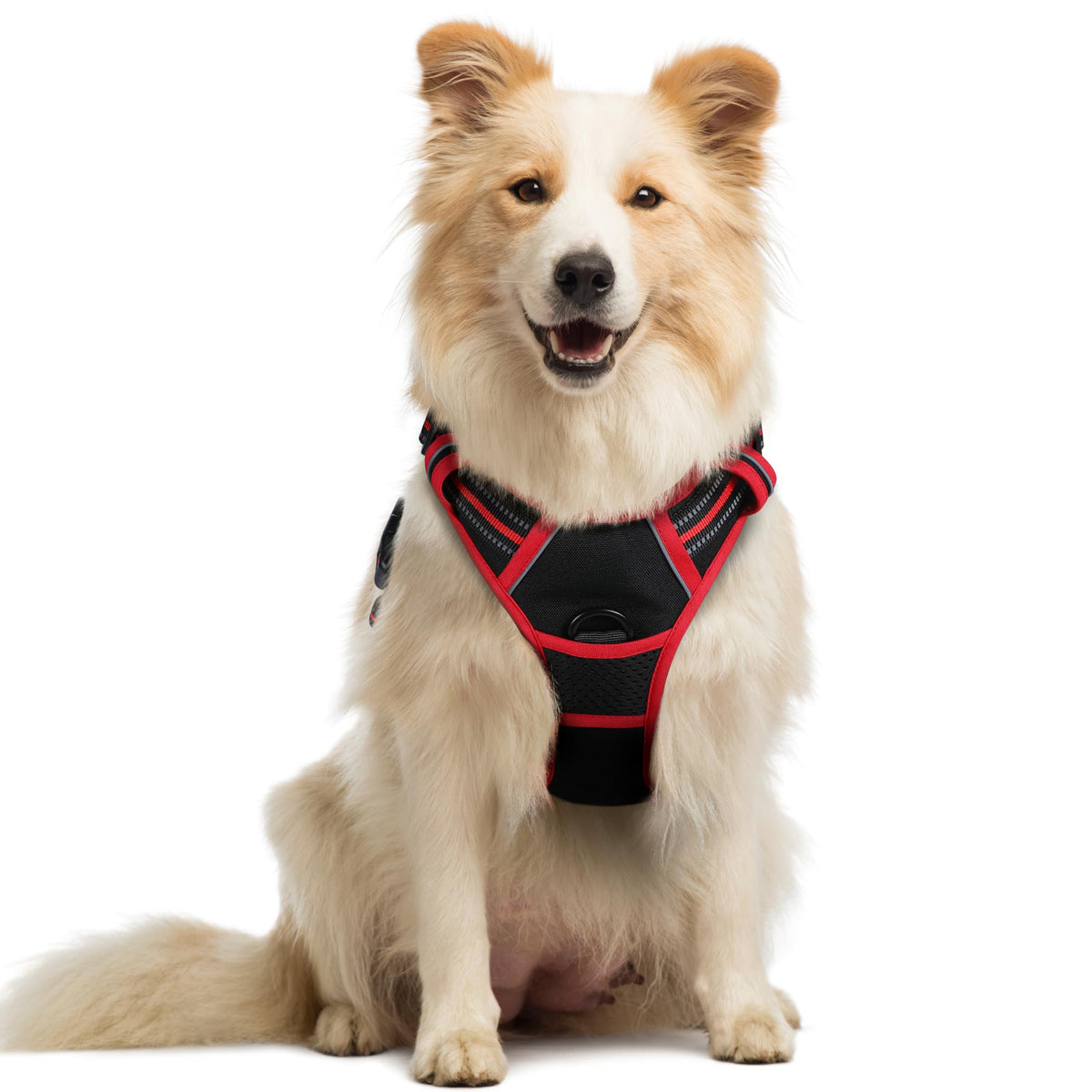 rabbitgoo Dog Harness No Pull with 2 Leash Clips, Adjustable Soft Padded, Reflective Oxford No Choke Pet Vest with Easy Control Handle for Large Dogs