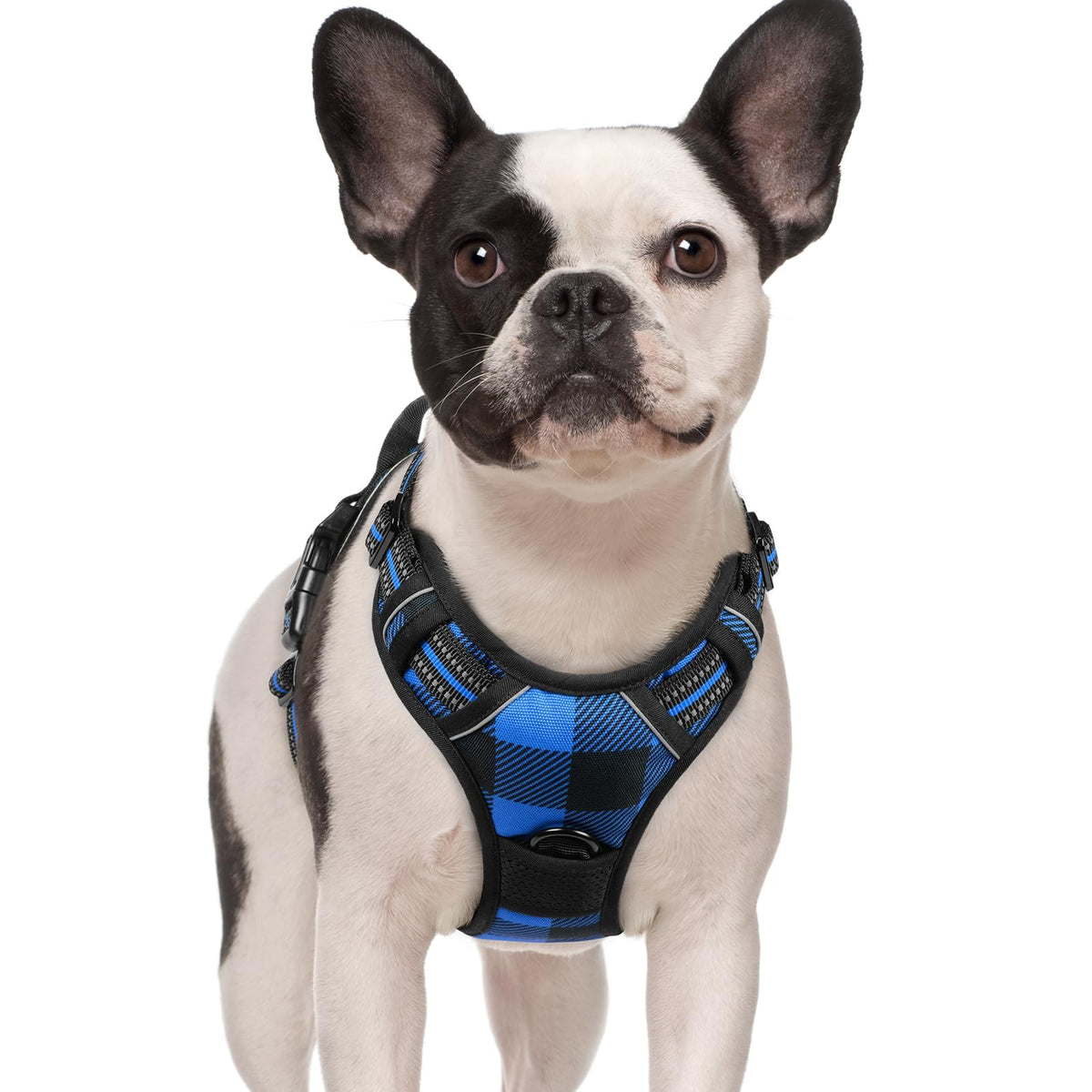 rabbitgoo Dog Harness No Pull with 2 Leash Clips, Adjustable Soft Padded, Reflective Oxford No Choke Pet Vest with Easy Control Handle for Large Dogs