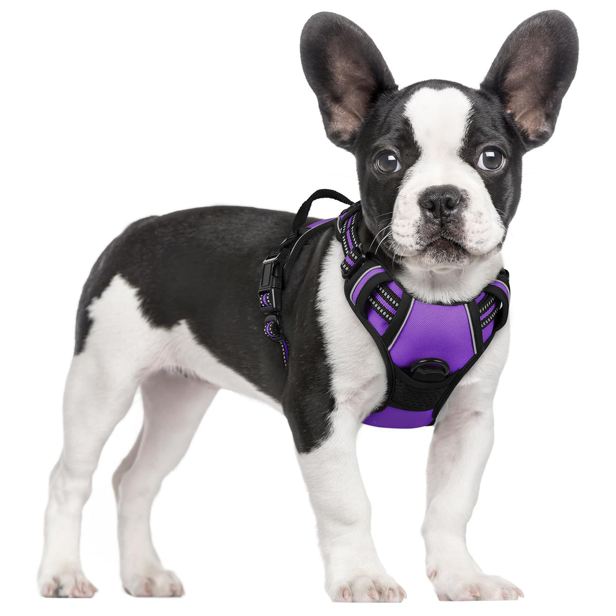 rabbitgoo Dog Harness No Pull with 2 Leash Clips, Adjustable Soft Padded, Reflective Oxford No Choke Pet Vest with Easy Control Handle for Large Dogs