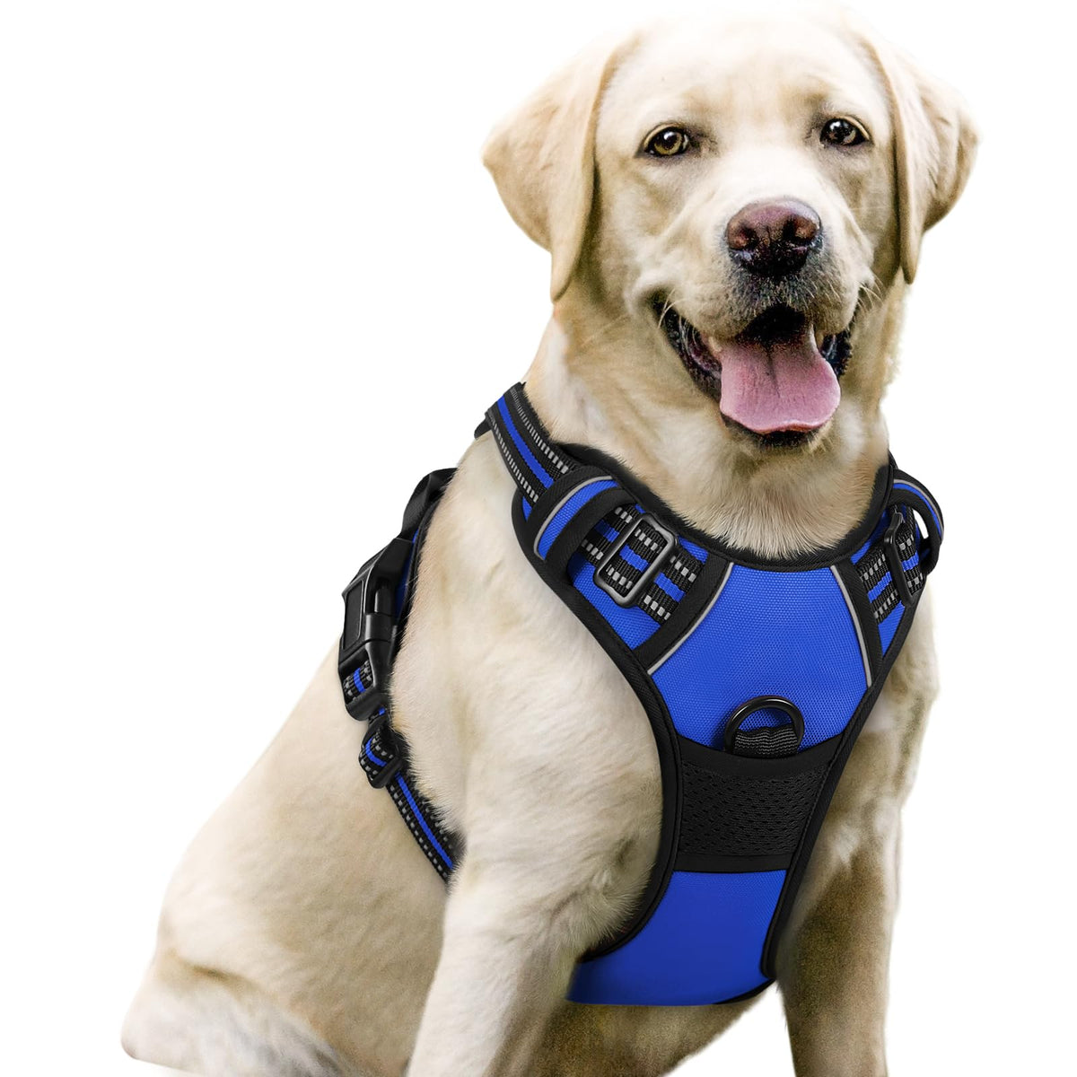 rabbitgoo Dog Harness No Pull with 2 Leash Clips, Adjustable Soft Padded, Reflective Oxford No Choke Pet Vest with Easy Control Handle for Large Dogs