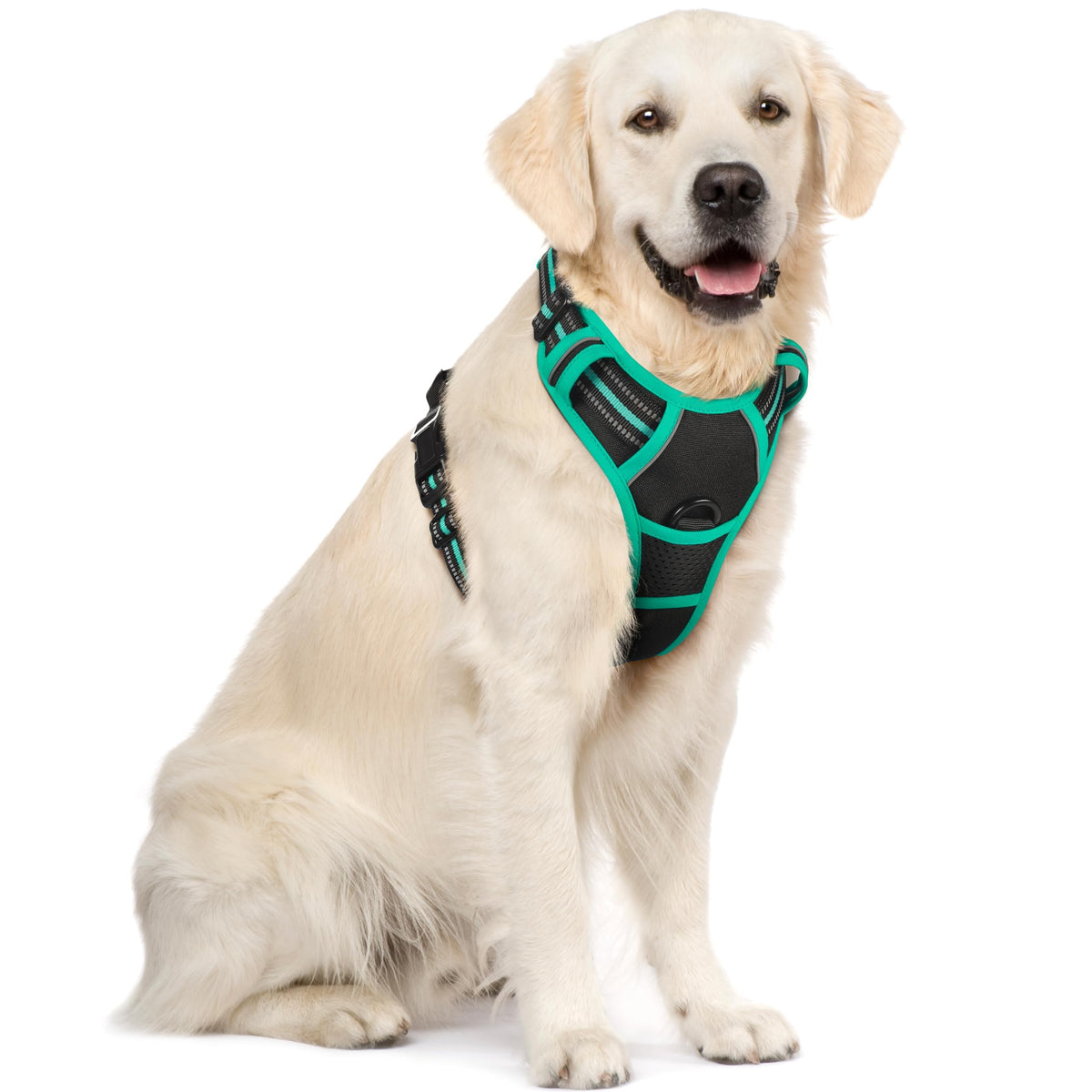 rabbitgoo Dog Harness No Pull with 2 Leash Clips, Adjustable Soft Padded, Reflective Oxford No Choke Pet Vest with Easy Control Handle for Large Dogs