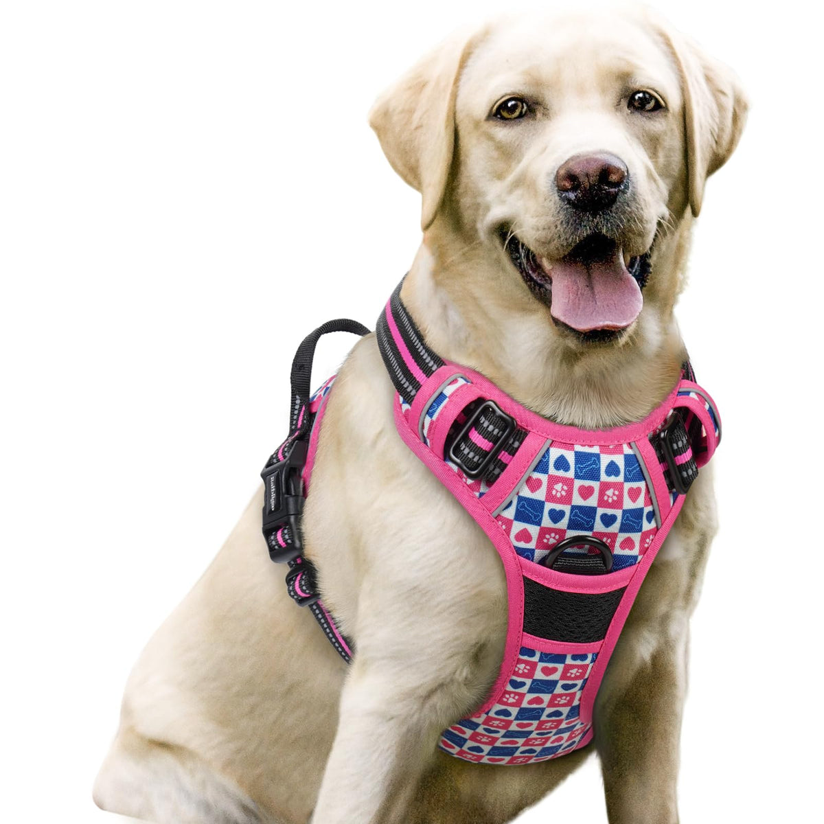rabbitgoo Dog Harness No Pull with 2 Leash Clips, Adjustable Soft Padded, Reflective Oxford No Choke Pet Vest with Easy Control Handle for Large Dogs