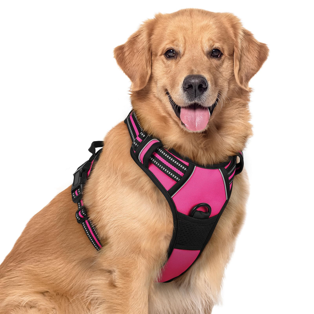 rabbitgoo Dog Harness No Pull with 2 Leash Clips, Adjustable Soft Padded, Reflective Oxford No Choke Pet Vest with Easy Control Handle for Large Dogs