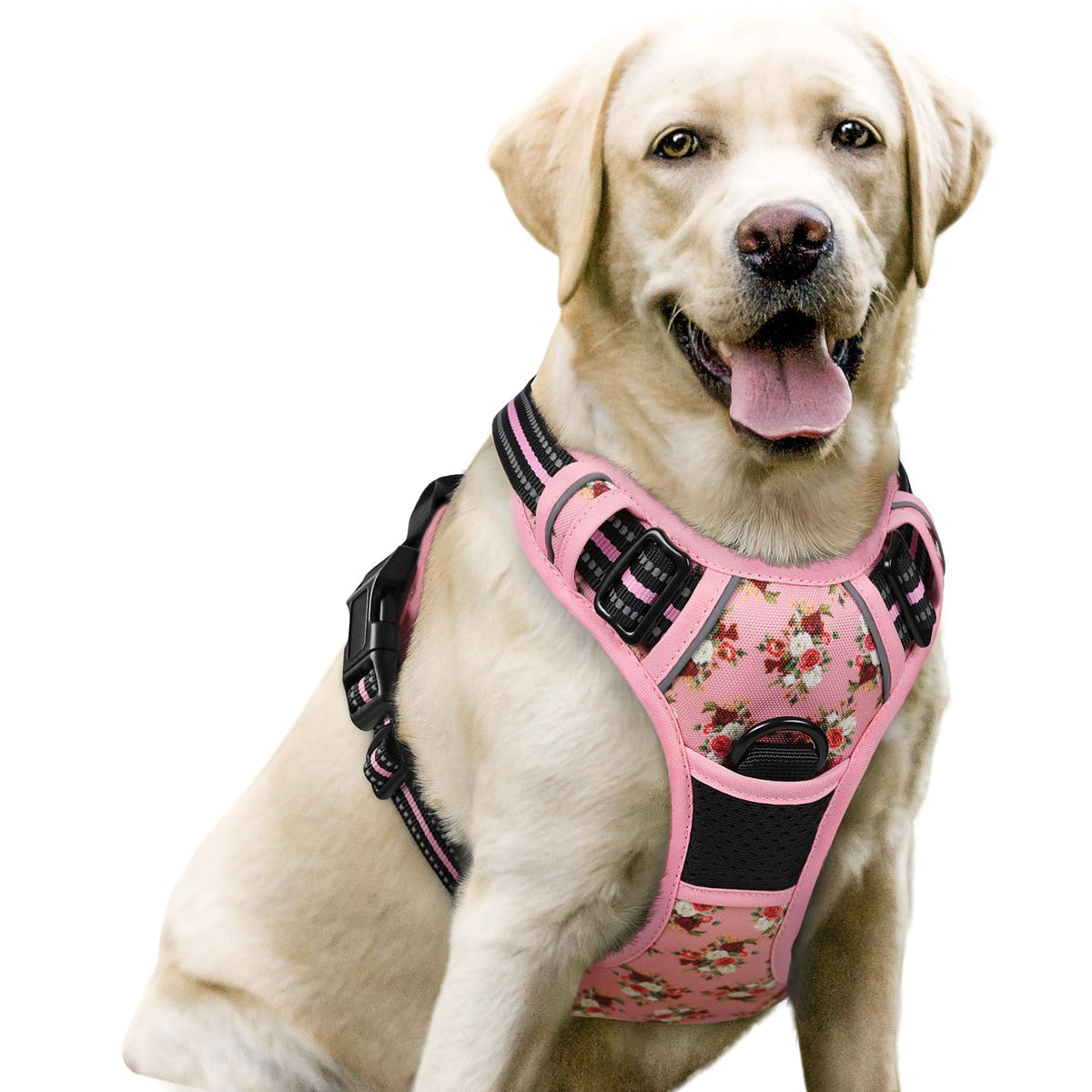 rabbitgoo Dog Harness No Pull with 2 Leash Clips, Adjustable Soft Padded, Reflective Oxford No Choke Pet Vest with Easy Control Handle for Large Dogs