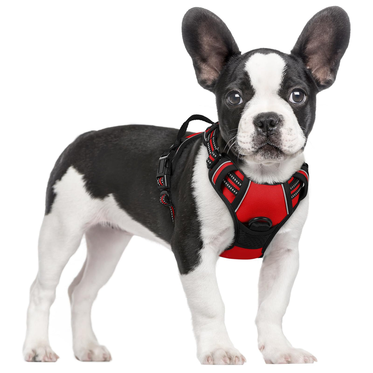 rabbitgoo Dog Harness No Pull with 2 Leash Clips, Adjustable Soft Padded, Reflective Oxford No Choke Pet Vest with Easy Control Handle for Large Dogs