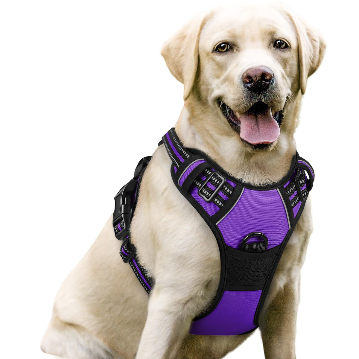rabbitgoo Dog Harness No Pull with 2 Leash Clips, Adjustable Soft Padded, Reflective Oxford No Choke Pet Vest with Easy Control Handle for Large Dogs