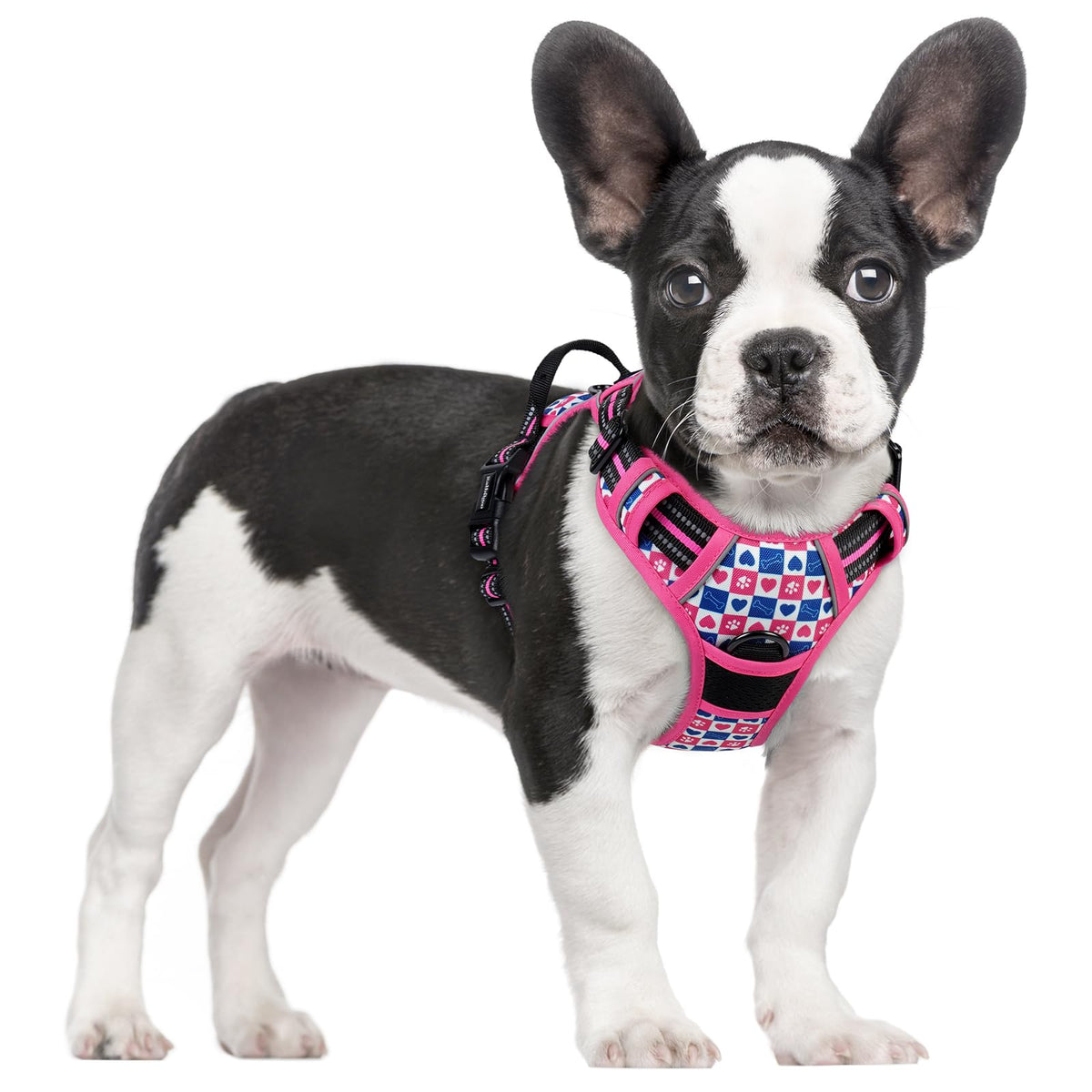 rabbitgoo Dog Harness No Pull with 2 Leash Clips, Adjustable Soft Padded, Reflective Oxford No Choke Pet Vest with Easy Control Handle for Large Dogs