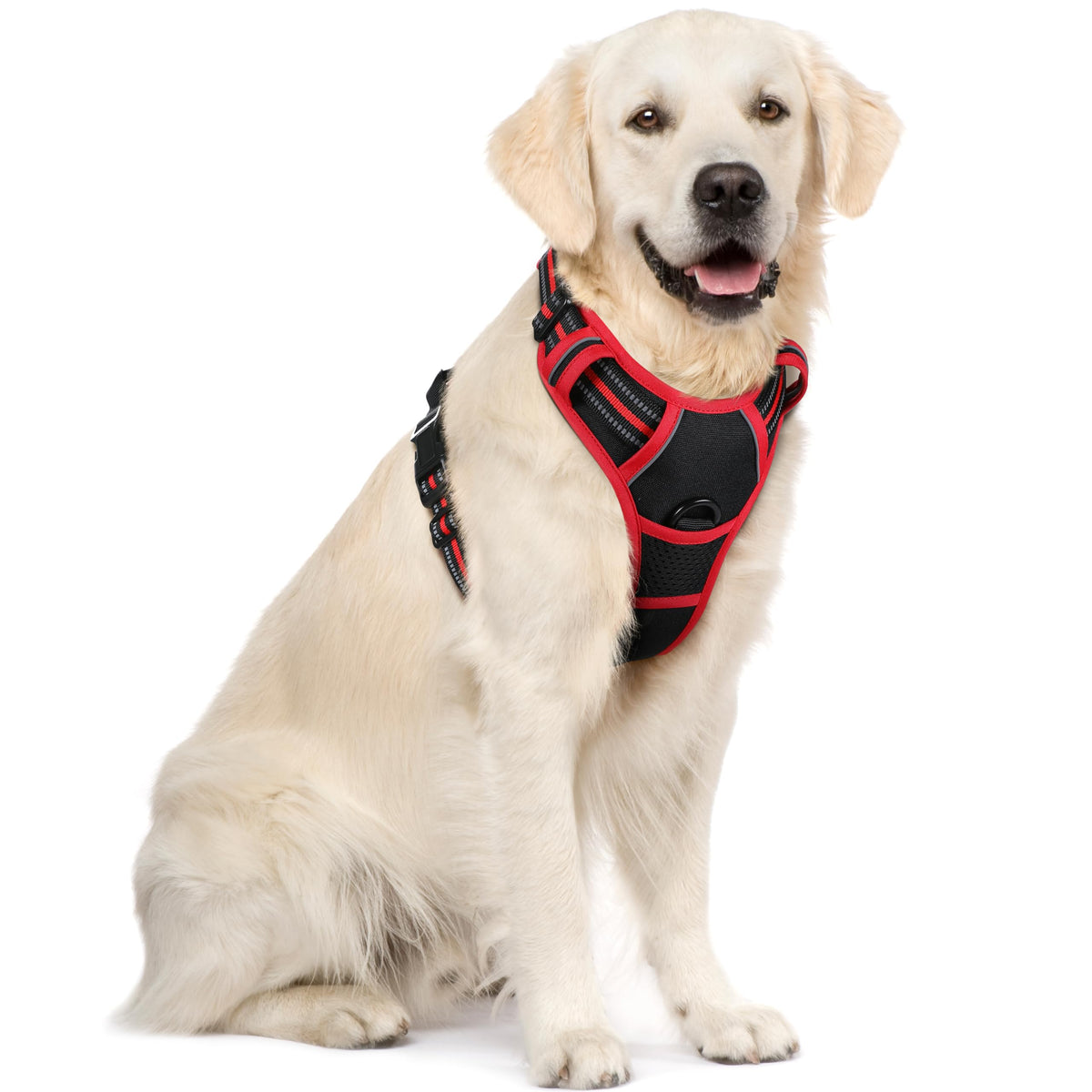 rabbitgoo Dog Harness No Pull with 2 Leash Clips, Adjustable Soft Padded, Reflective Oxford No Choke Pet Vest with Easy Control Handle for Large Dogs