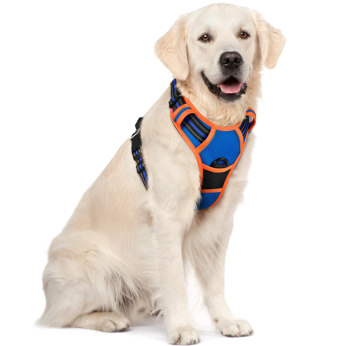 rabbitgoo Dog Harness No Pull with 2 Leash Clips, Adjustable Soft Padded, Reflective Oxford No Choke Pet Vest with Easy Control Handle for Large Dogs