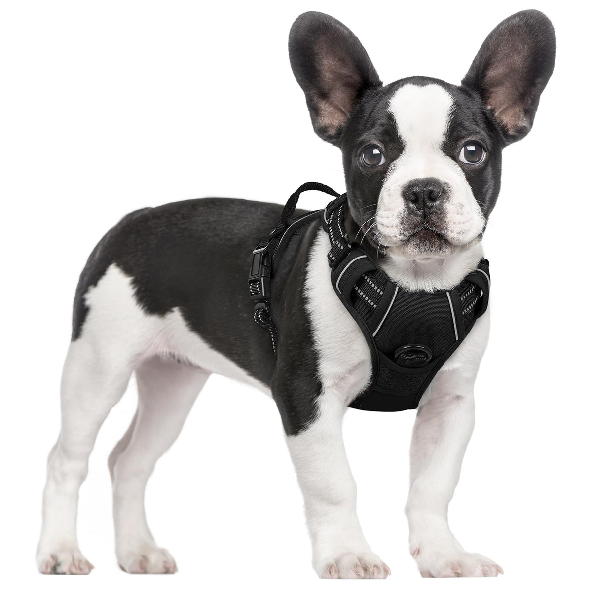 rabbitgoo Dog Harness No Pull with 2 Leash Clips, Adjustable Soft Padded, Reflective Oxford No Choke Pet Vest with Easy Control Handle for Large Dogs